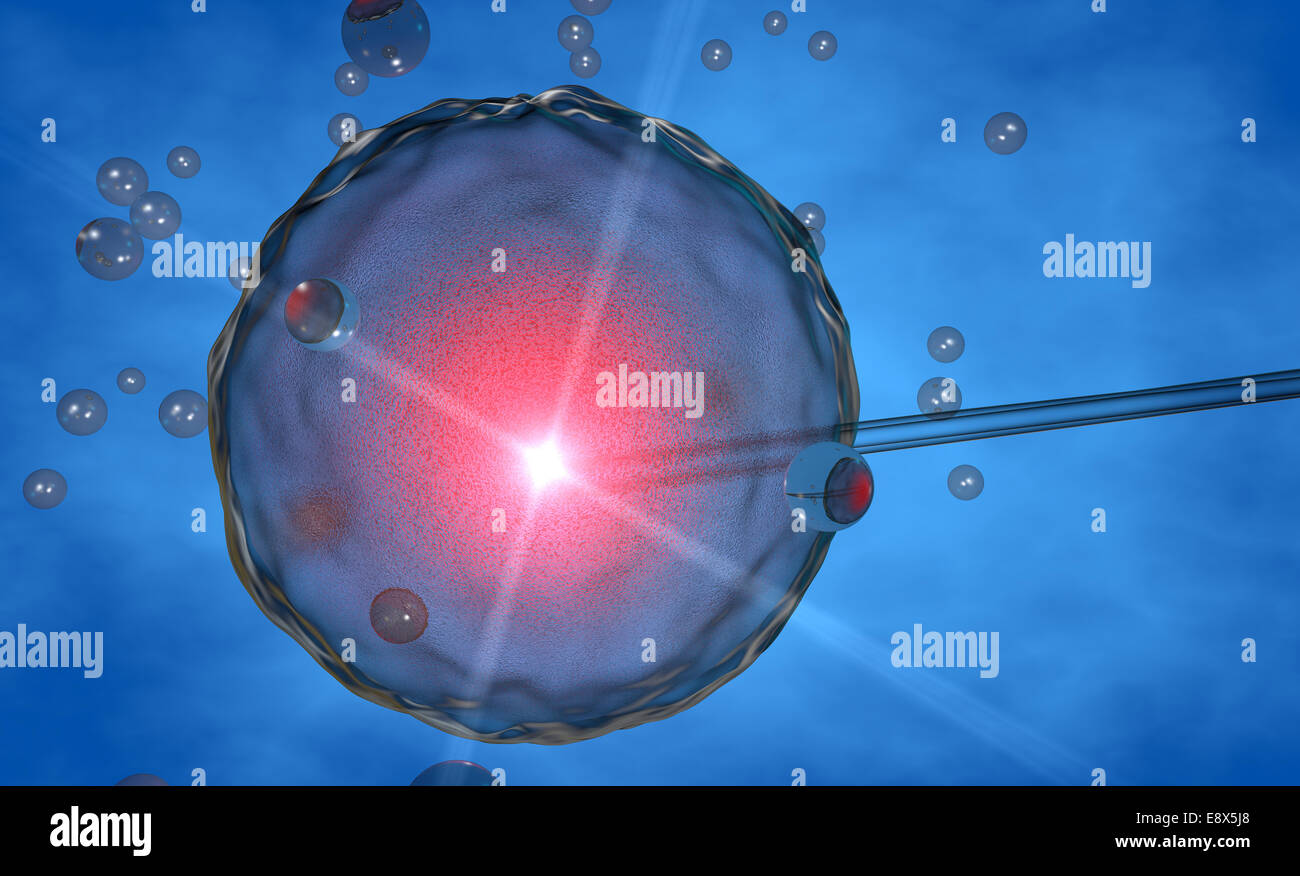 3D ovum, inseminazione artificiale su sfondo blu Foto Stock