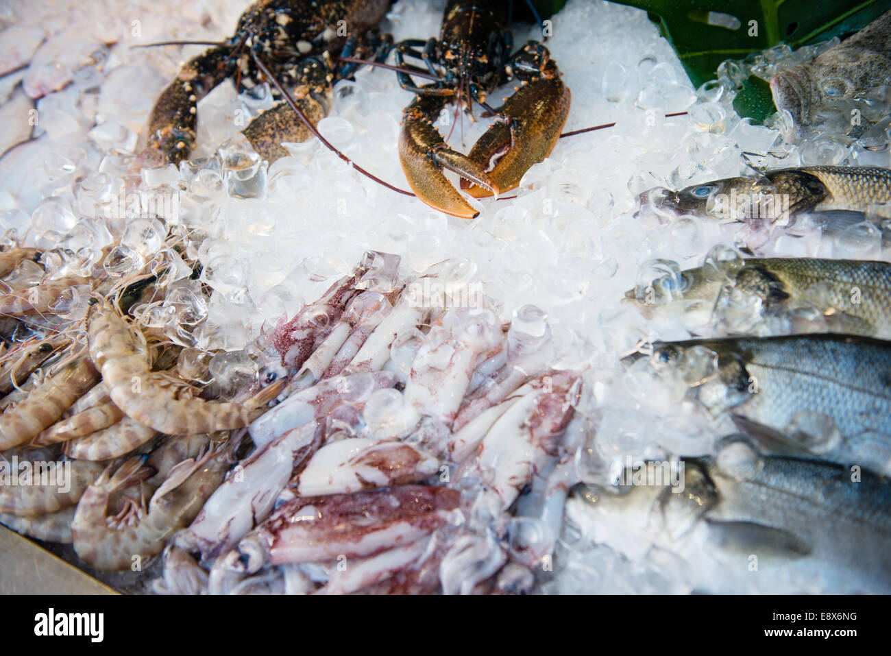 Pesce e frutti di mare freschi disposizione visualizzati sul mercato Foto Stock
