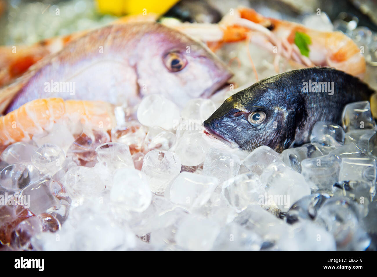 Pesce e frutti di mare freschi disposizione visualizzati sul mercato Foto Stock