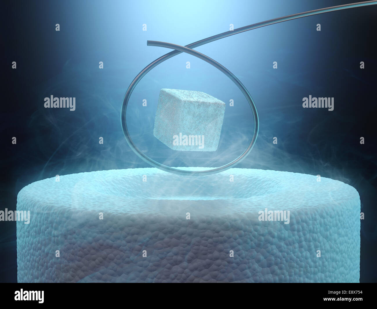 Concetto di immagine del la levitazione magnetica al di sopra di un superconduttore ad alta temperatura, raffreddato con azoto liquido. Foto Stock