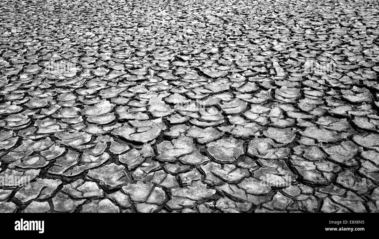 Terra di siccità nel pezzo, cambiamenti climatici rendono extreame meteo, campo secco dalla stagione calda e waterless, questa causa il riscaldamento globale Foto Stock