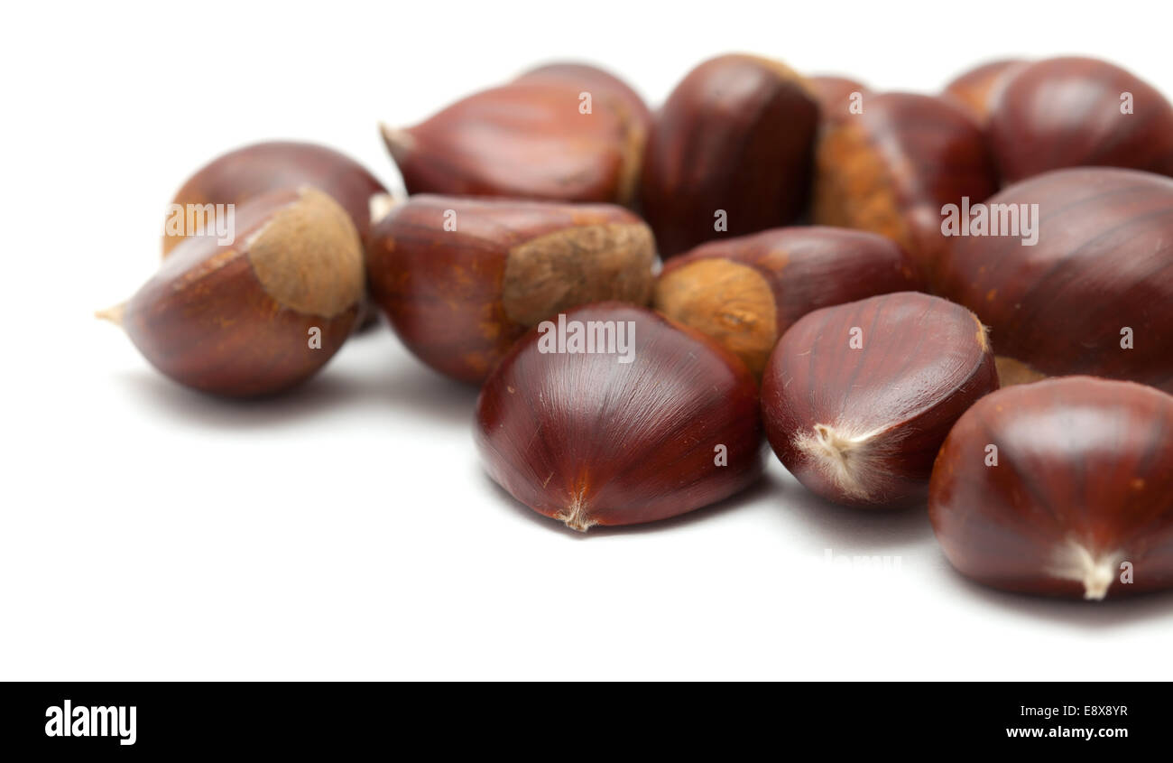 Le castagne isolato su bianco Foto Stock