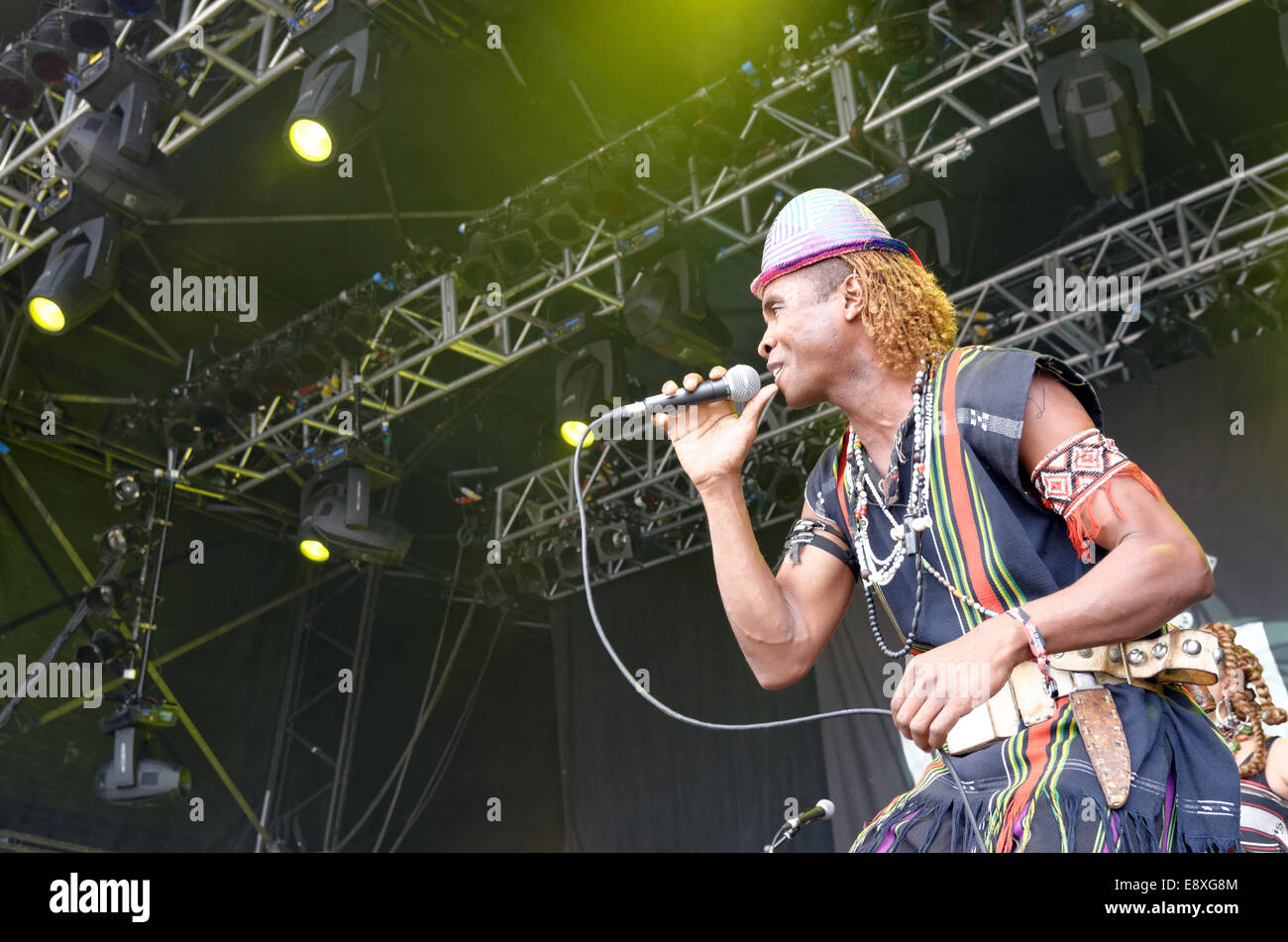 Justin Vali e Ny malgascio, BBC Radio 3 Stadio, WOMAD 2014 World Music Festival. Foto Stock