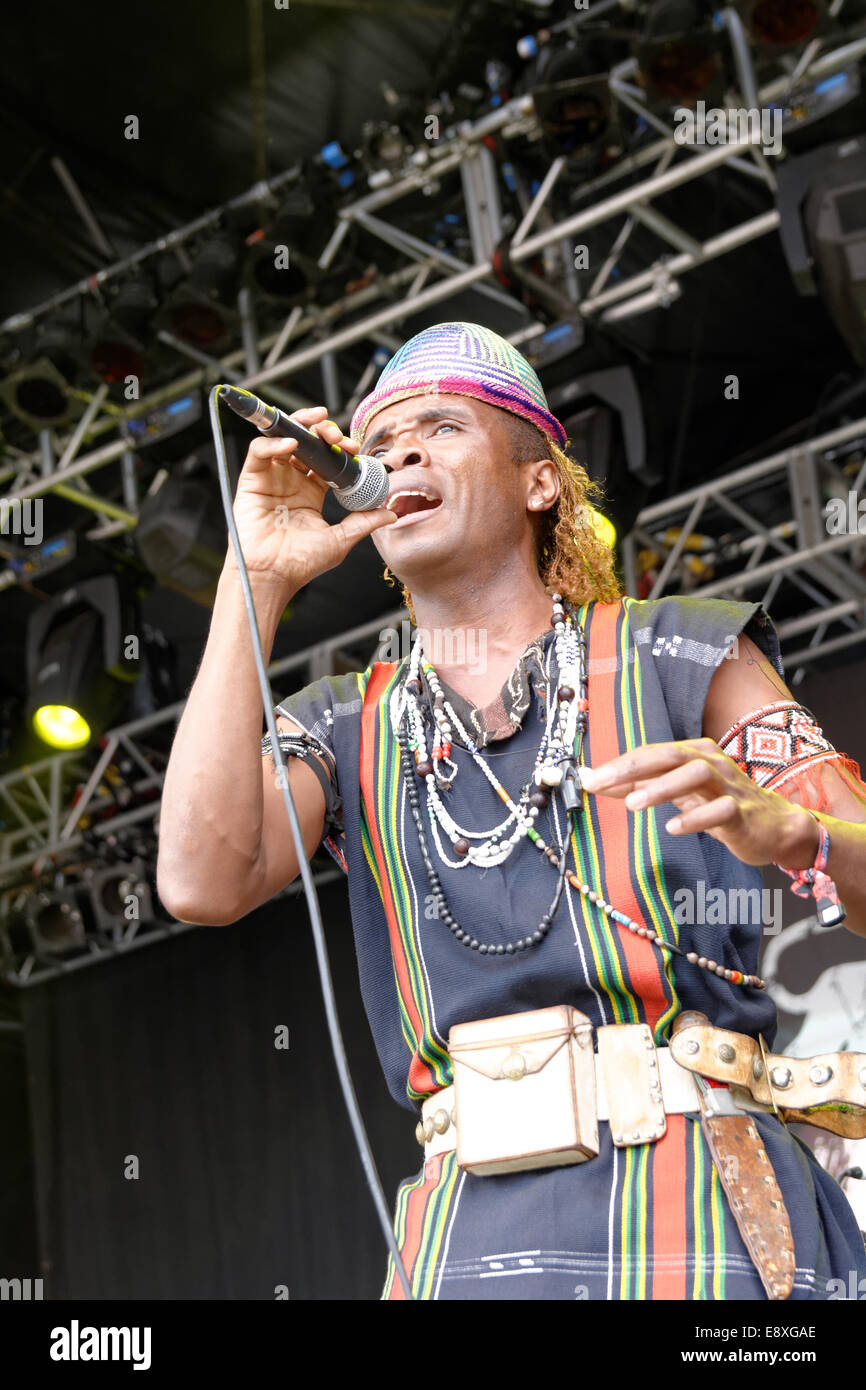 Justin Vali e Ny malgascio, BBC Radio 3 Stadio, WOMAD 2014 World Music Festival. Foto Stock