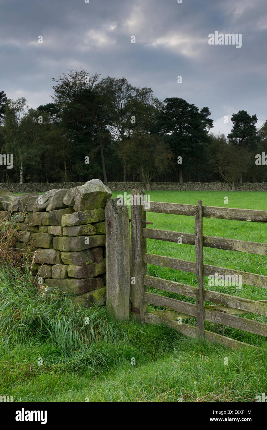 Close-up di chiusura del cancello in legno & rustico in pietra a secco muro di cinta della fattoria di pascoli campo nella pittoresca campagna - North Yorkshire, Inghilterra, Regno Unito. Foto Stock