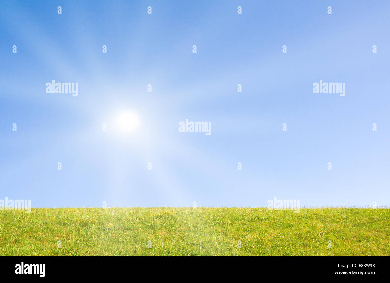 Prato Foto Stock