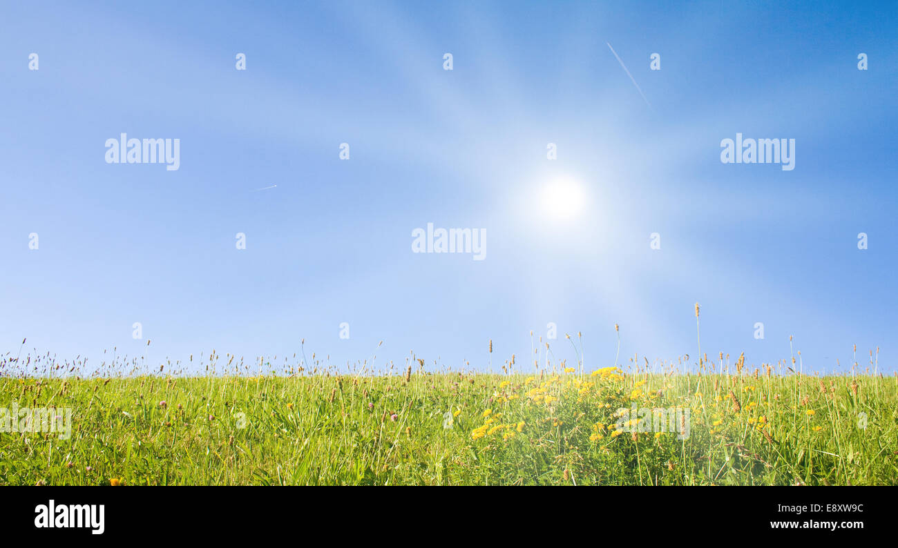 Prato Foto Stock