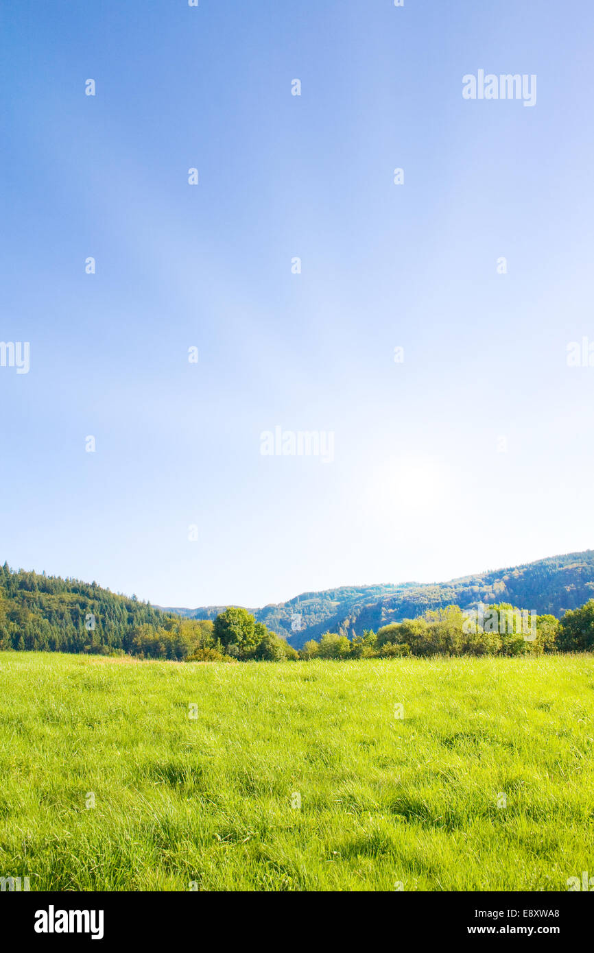 Prato Foto Stock