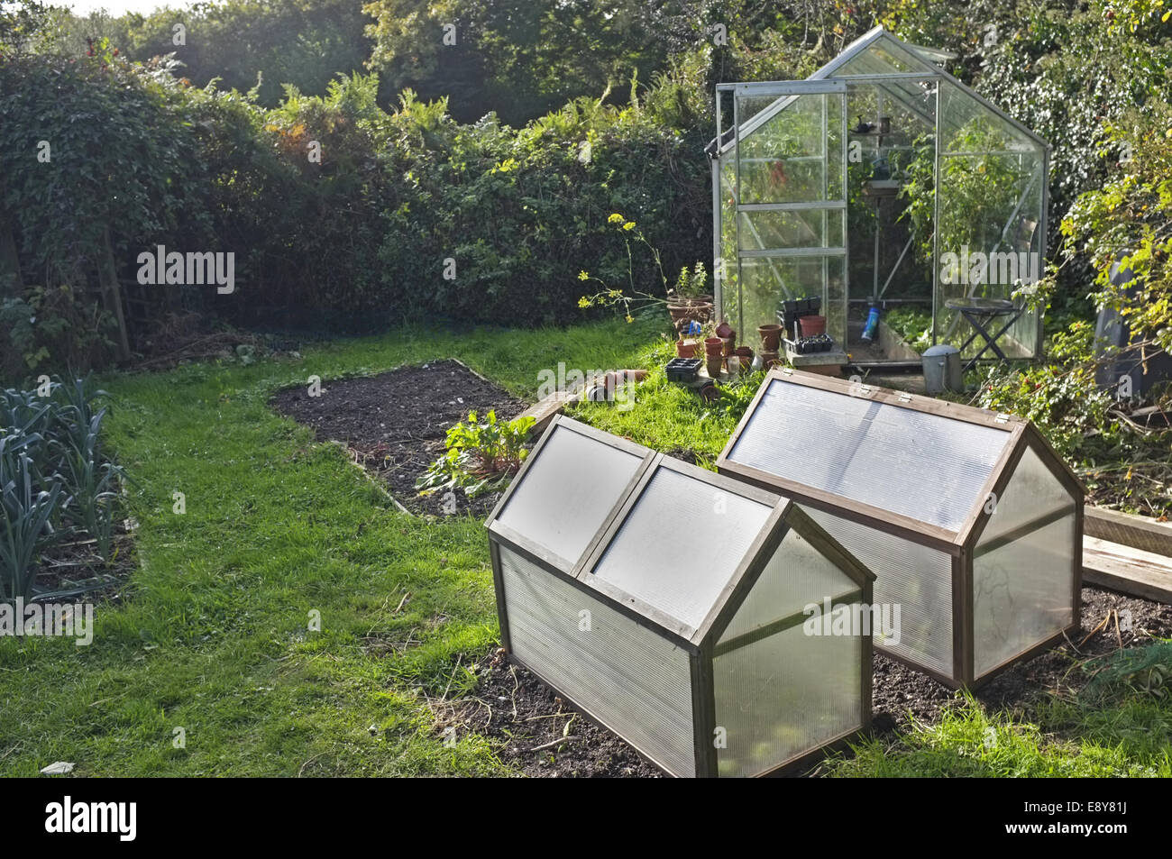 Portable le campane in un giardino in Cornwall, Regno Unito utilizzata per la coltivazione di insalata invernale Foto Stock