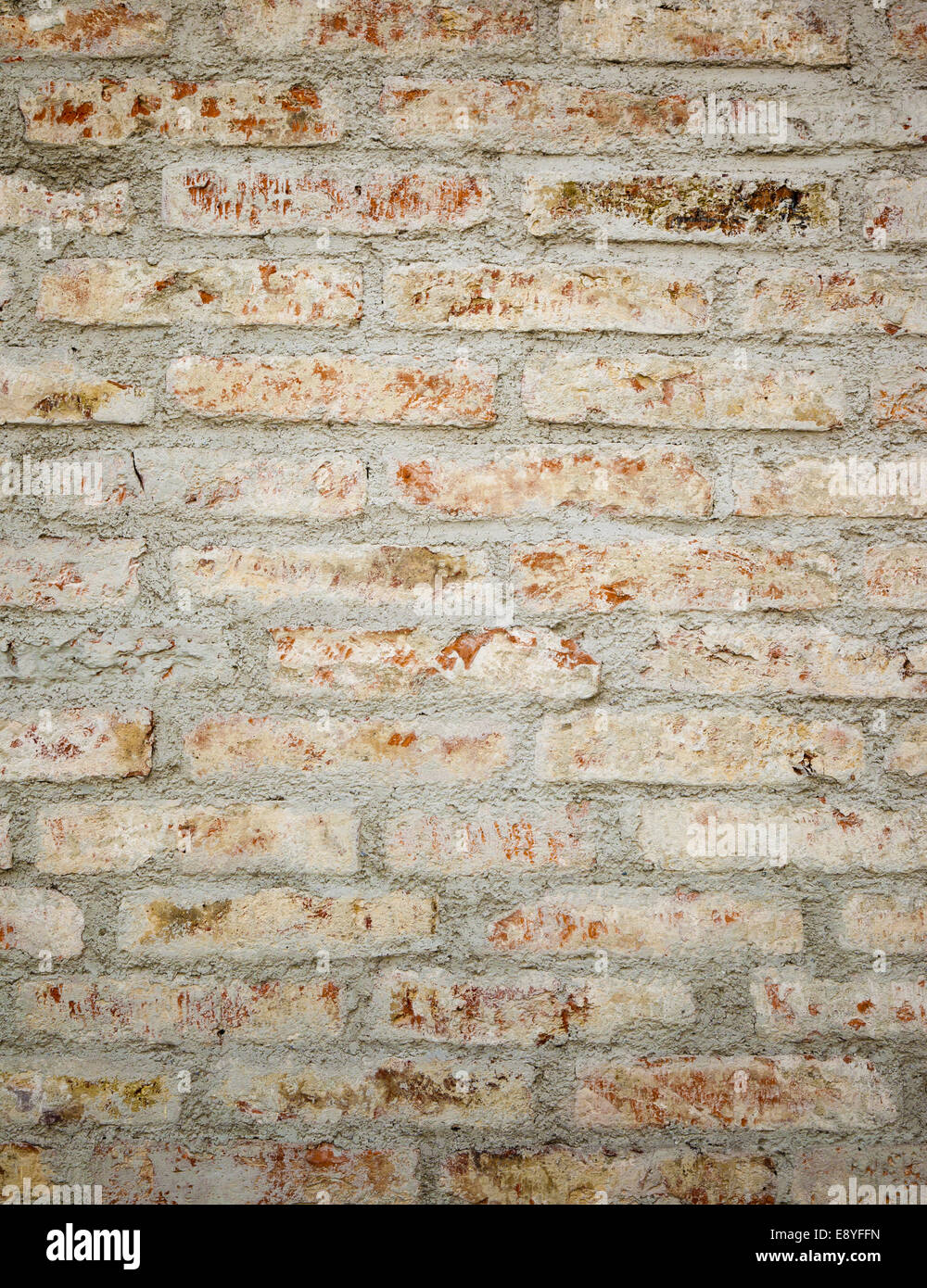 muro di mattoni Foto Stock