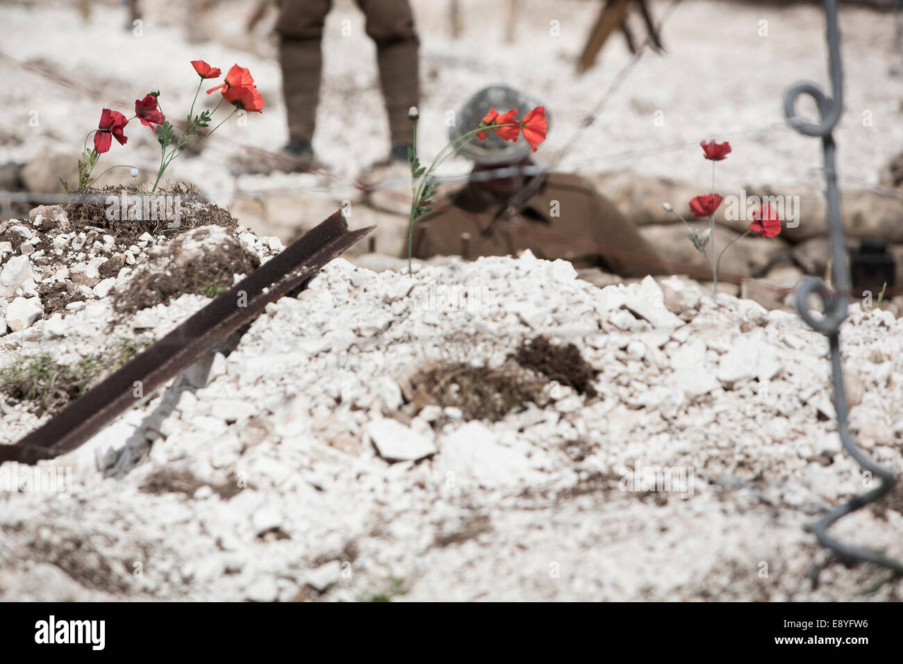 Un WW1 soldato britannico nel periodo uniforme e Tin Hat in piedi in una trincea di ricreazione con sacchi di sabbia e papavero rosso. Foto Stock