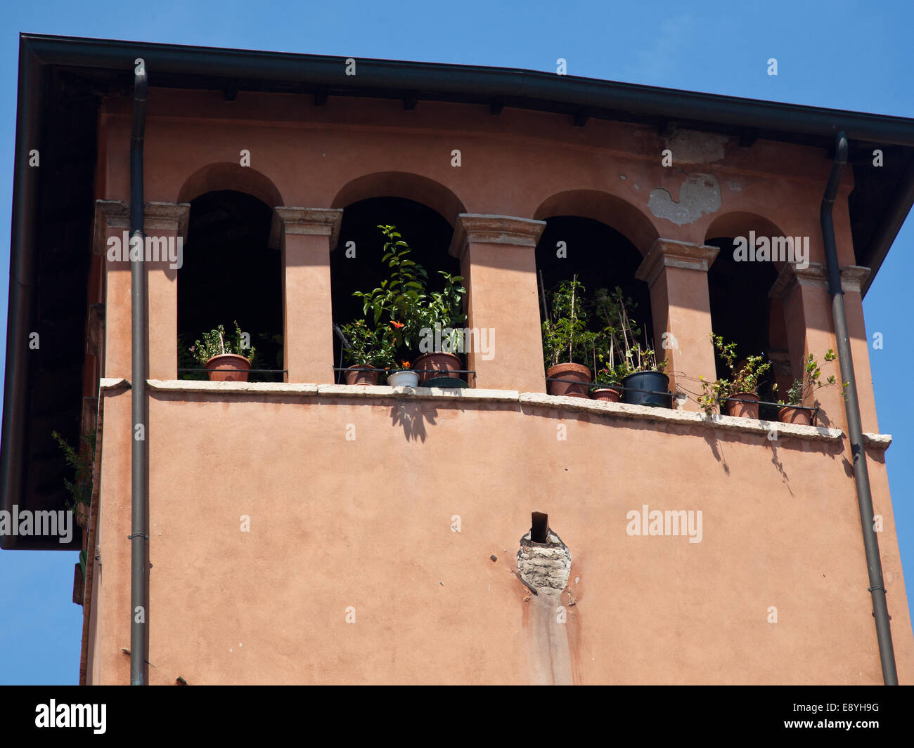 Le vecchie finestre a Verona Foto Stock
