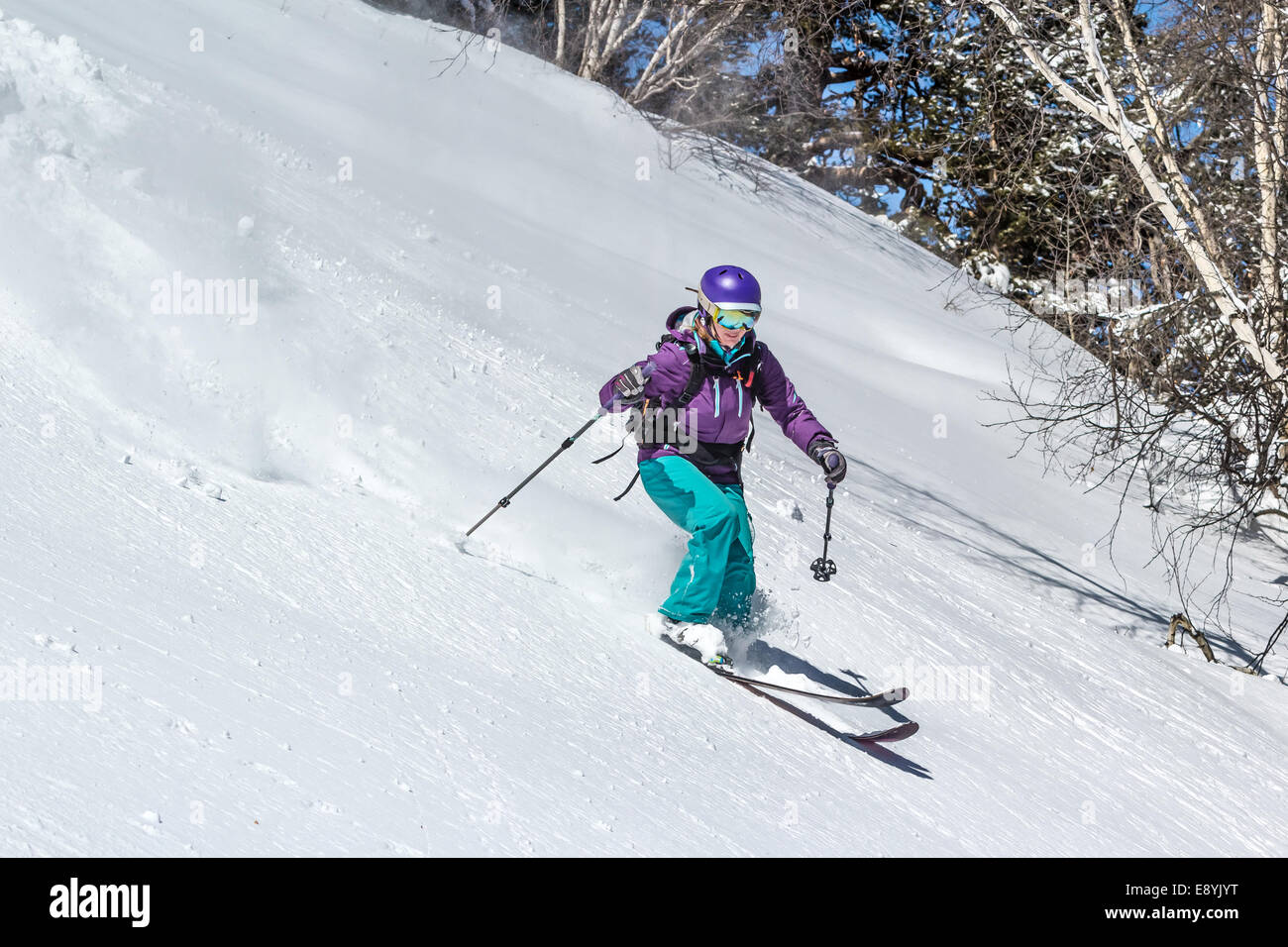 Sciatore femmina nella neve profonda. Sci fuori pista nella neve soffice in una fredda giornata di sole nella zona della foresta Foto Stock