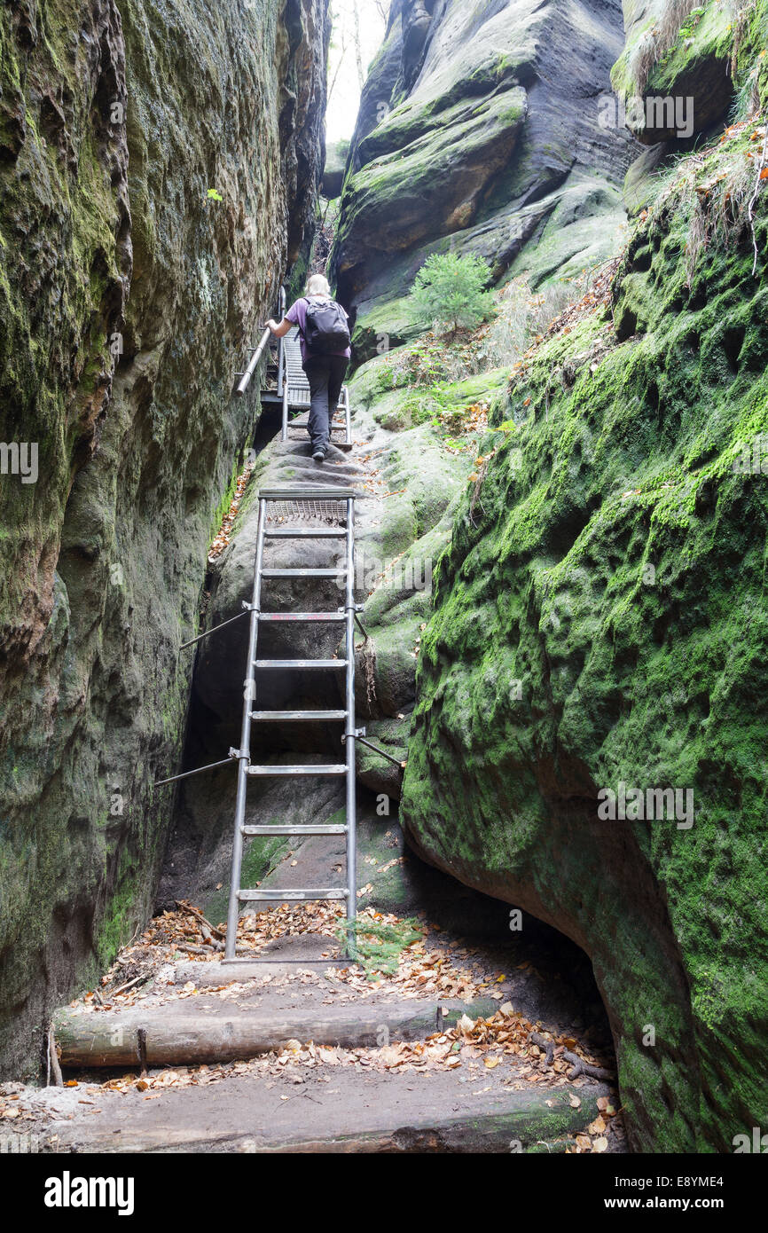 Walker climbing il percorso della vista Schrammstein, Sachsische Schweiz, Bassa Sassonia, Germania Foto Stock
