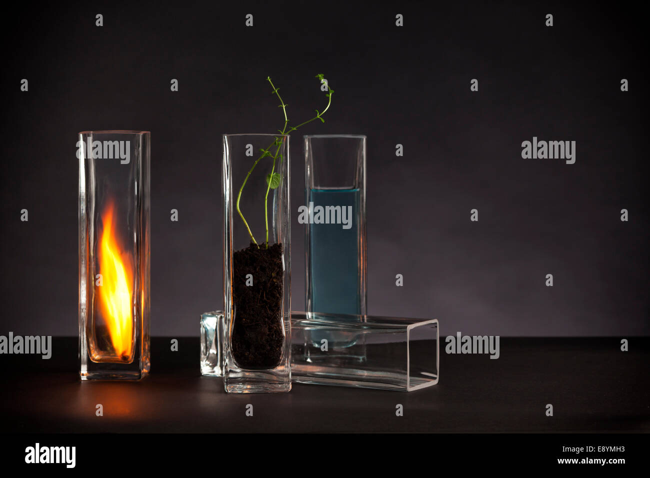 I quattro elementi ancora vita - Fuoco, acqua, terra e aria - disposte in vasi di vetro Foto Stock
