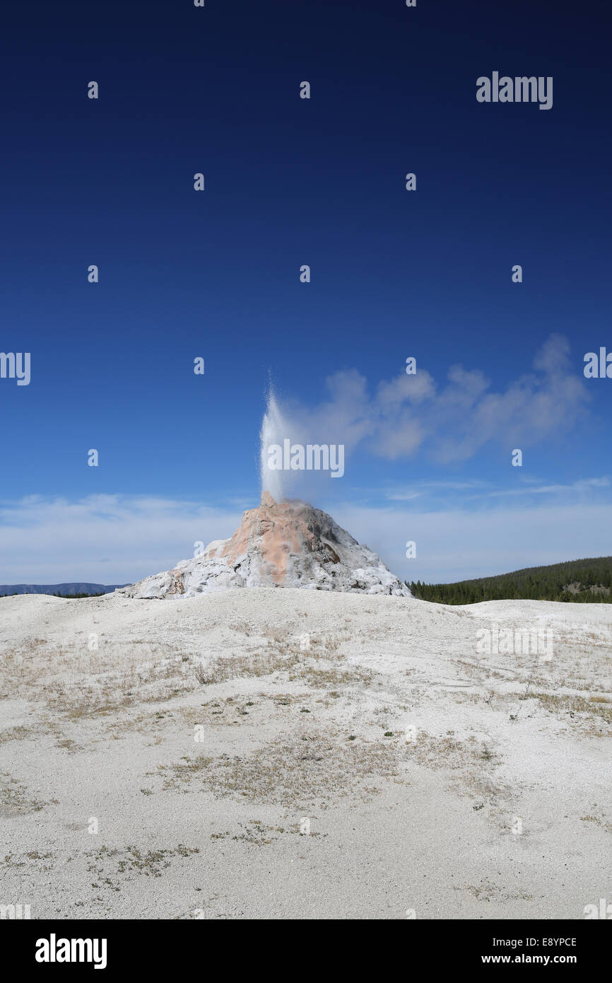 Cupola Bianca geyser, una cospicua cono-tipo geyser, nella Bassa Geyser Basin nel Parco Nazionale di Yellowstone Foto Stock