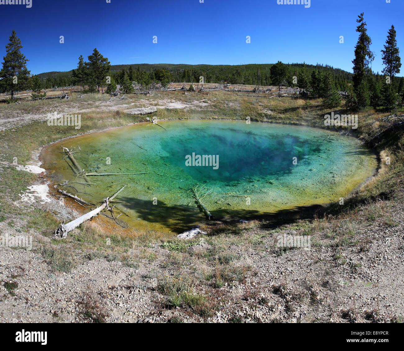 Primavera calda nel Parco Nazionale di Yellowstone USA, vicino al Grand Prismatic Spring e l'inizio del Fairy Falls trail. Foto Stock