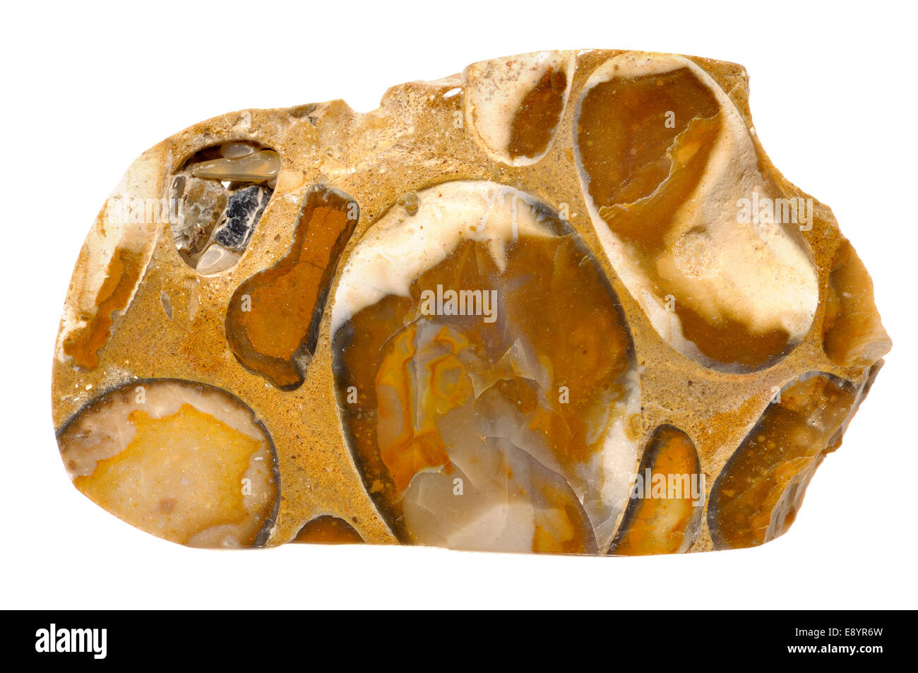 Puddingstone - glaciale conglomerato di silice Foto Stock