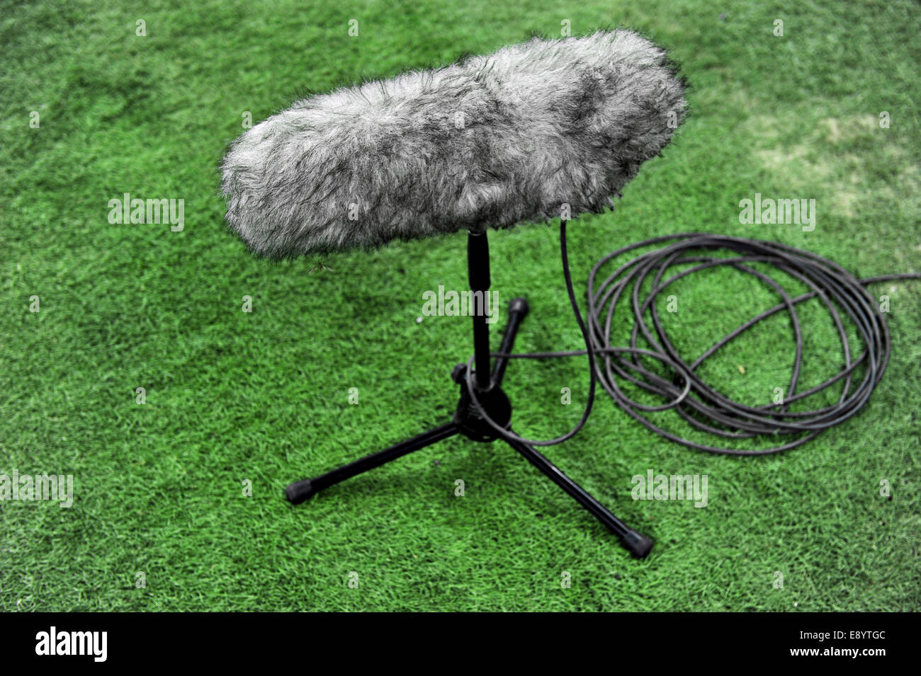Dettaglio con sport professionale microfono sul tappeto erboso artificiale Foto Stock