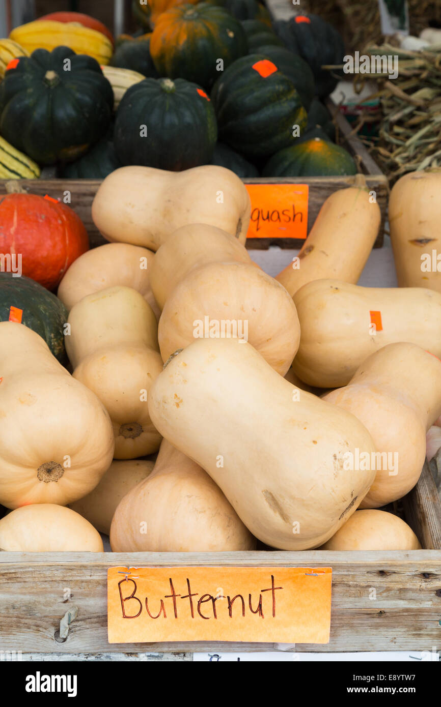 La Zucca sul display in un mercato Foto Stock