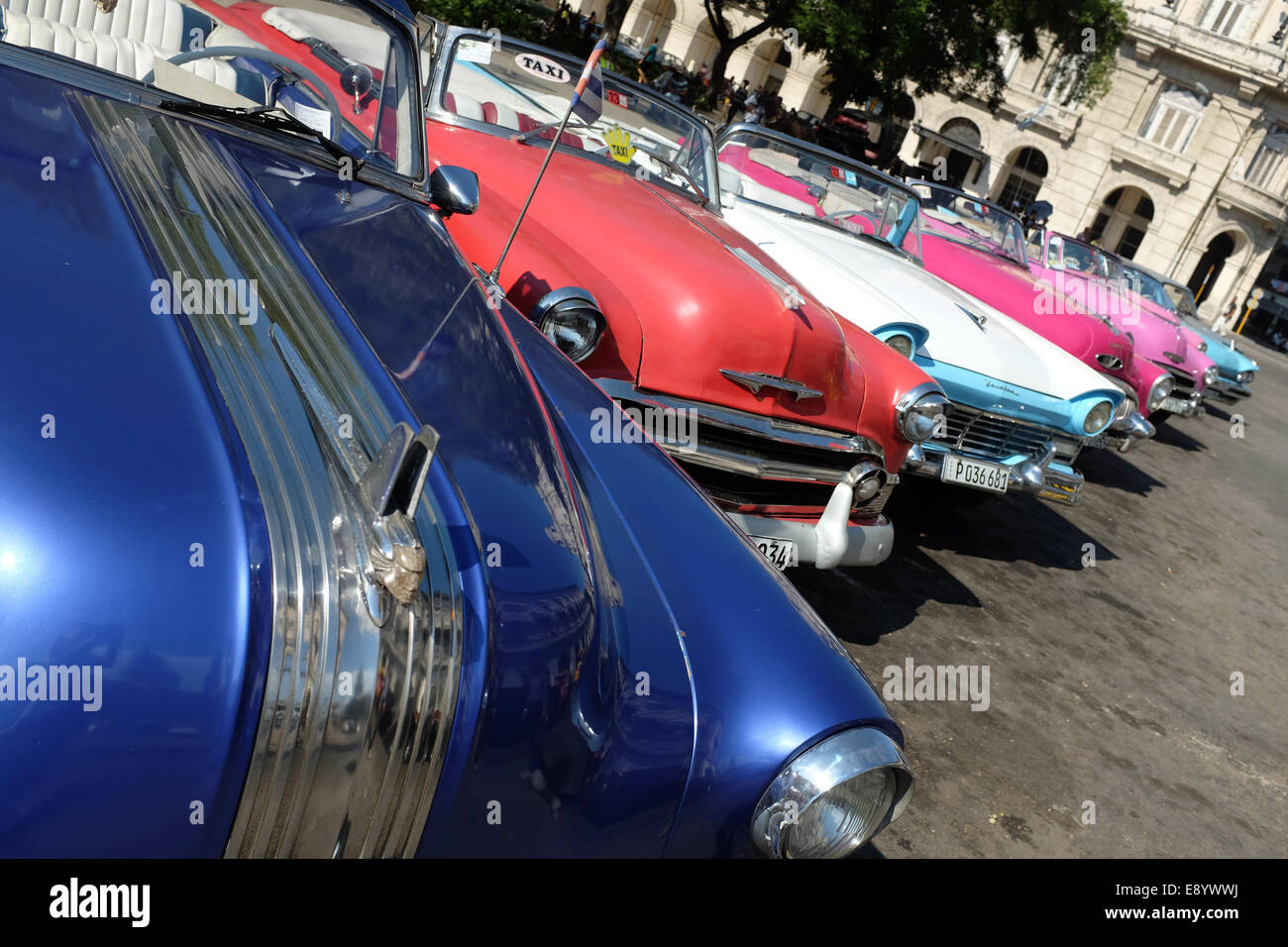 Line-up di classic American cars a l'Avana, Cuba Foto Stock