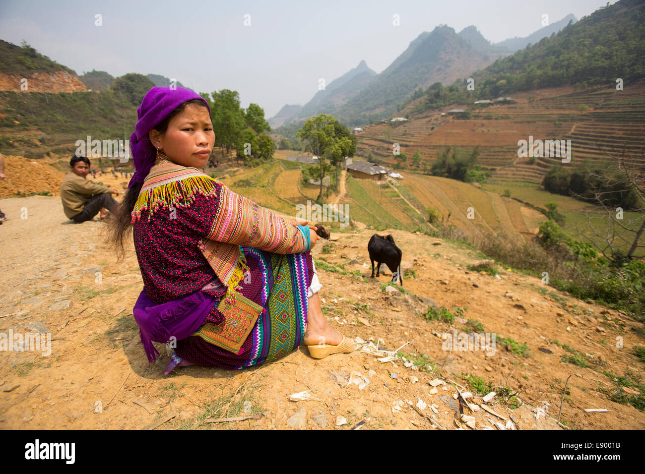 Fiore vietnamita Hmong donna seduta al di sopra dei terrazzi di riso Foto Stock