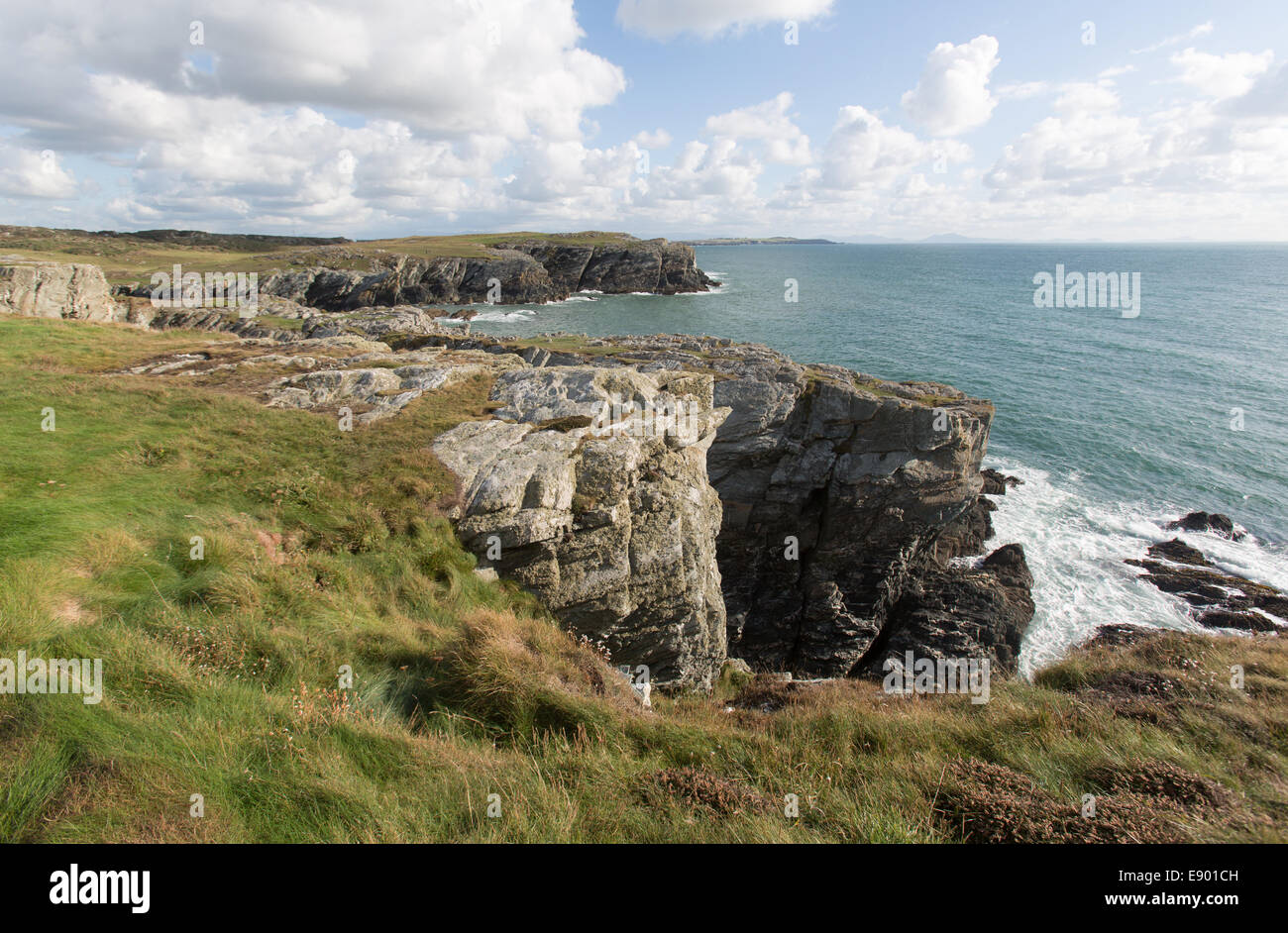 Il Galles sentiero costiero nel Galles del Nord. Vista pittoresca del sentiero costiero sulla costa sud occidentale di Anglesey' Isola Santa. Foto Stock