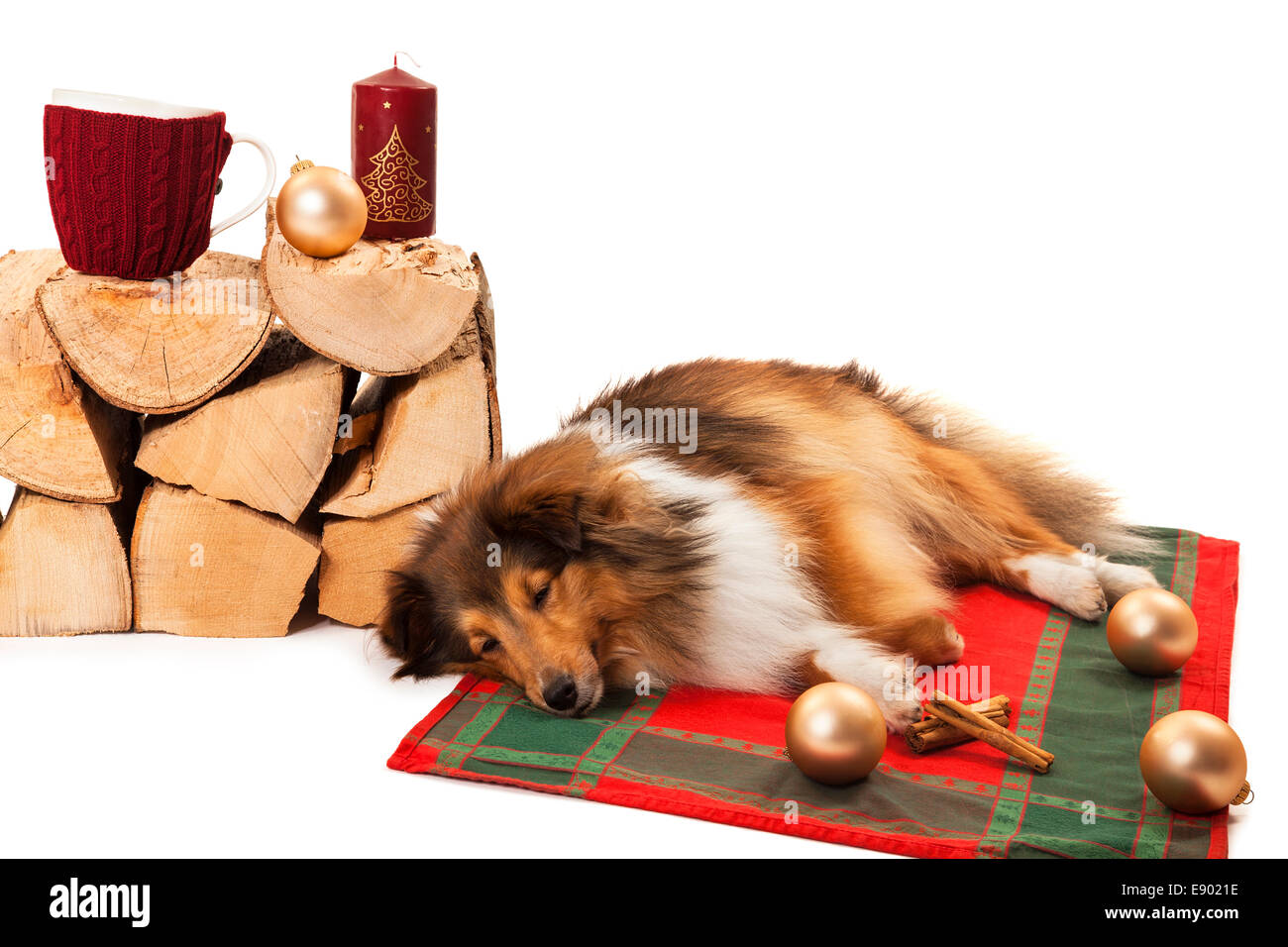 Cane dormire vicino a maglia cup e ornamenti natale sulla catasta di legna da ardere Foto Stock