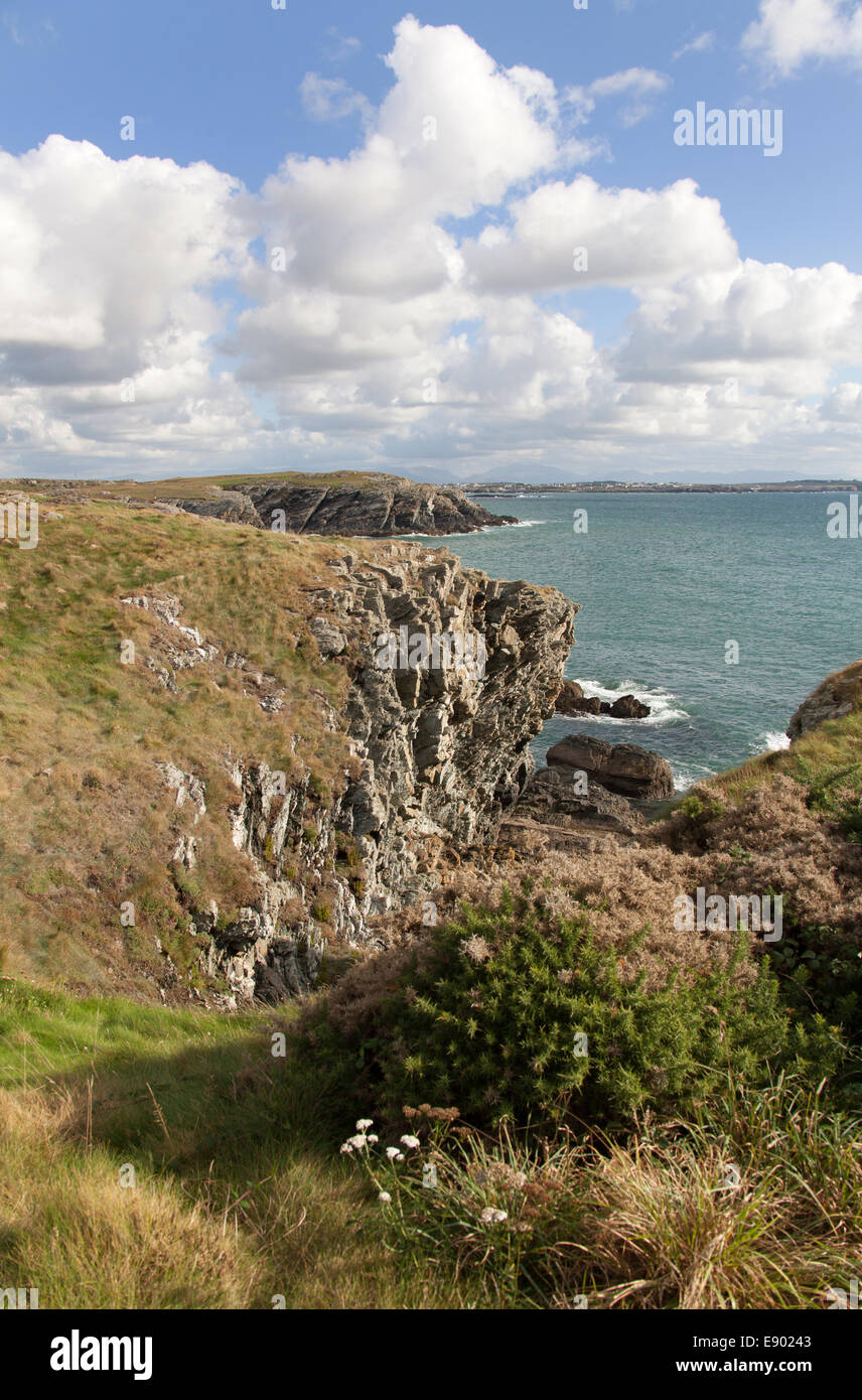 Il Galles sentiero costiero nel Galles del Nord. Vista pittoresca del sentiero costiero sulla costa sud occidentale di Anglesey' Isola Santa. Foto Stock