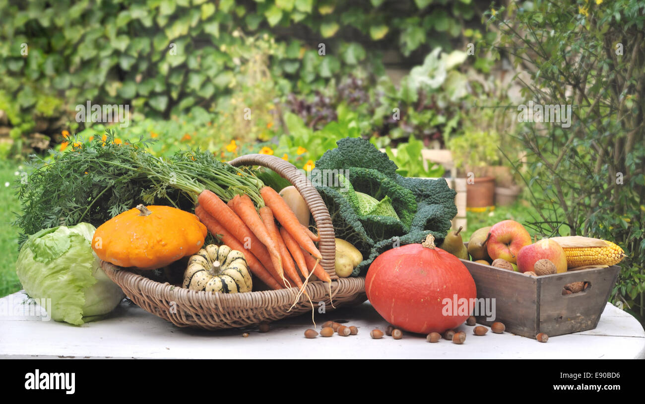 Verdure di stagione in un cesto su un tavolo giardino Foto Stock