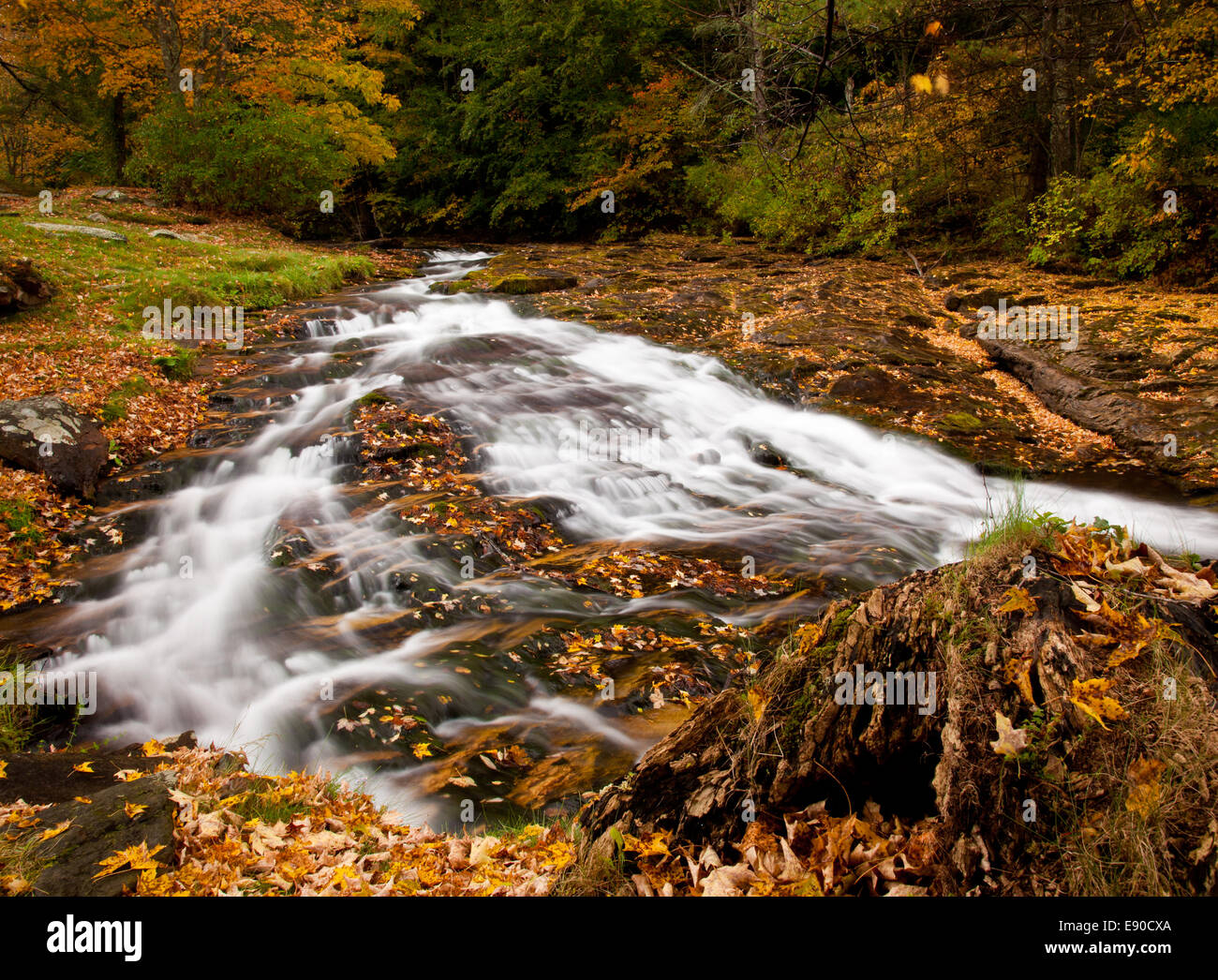 Acqua correre lungo il fiume Foto Stock