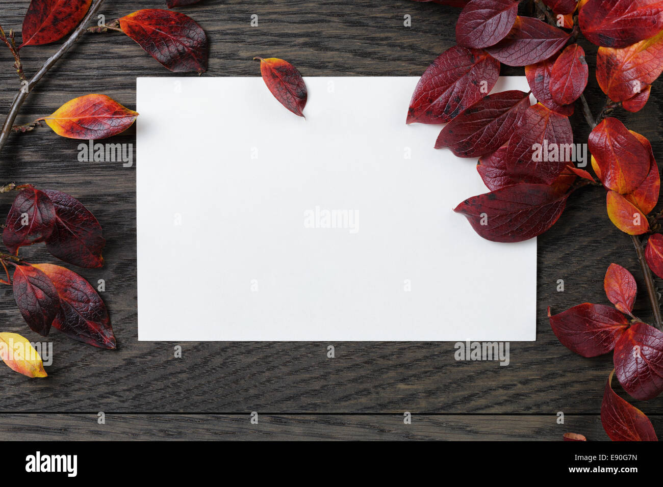 Autunno sfondo con foglie di Bush e il foglio di carta sul vecchio tavolo, direttamente dal di sopra Foto Stock