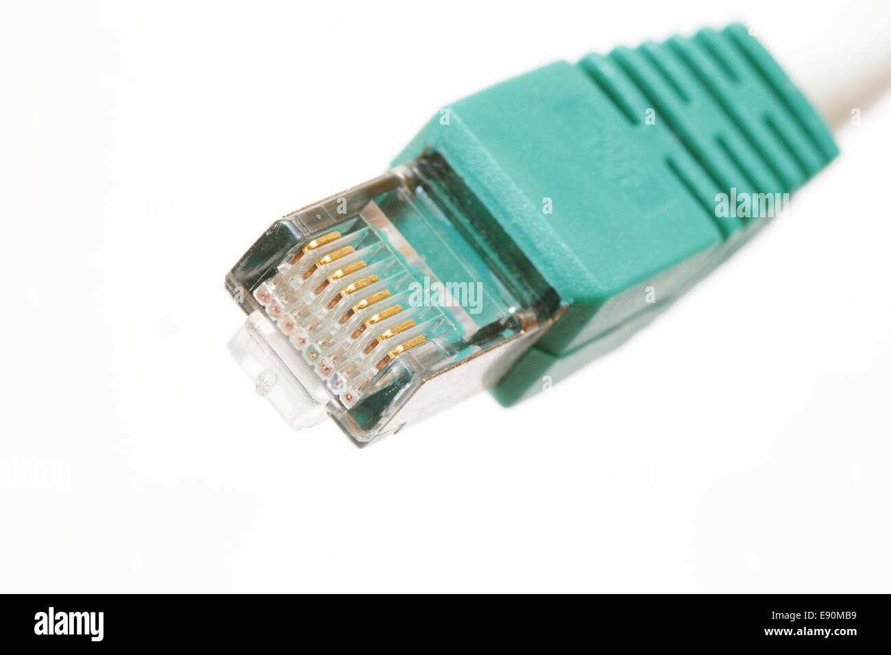 connettore Cat 5 Foto Stock