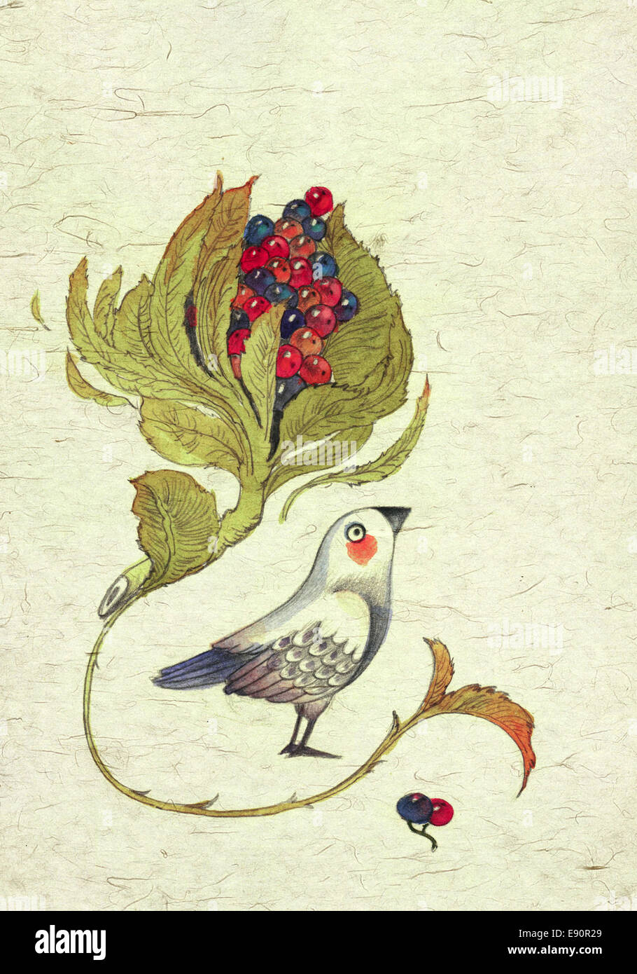 Illustrazione di uccello Foto Stock