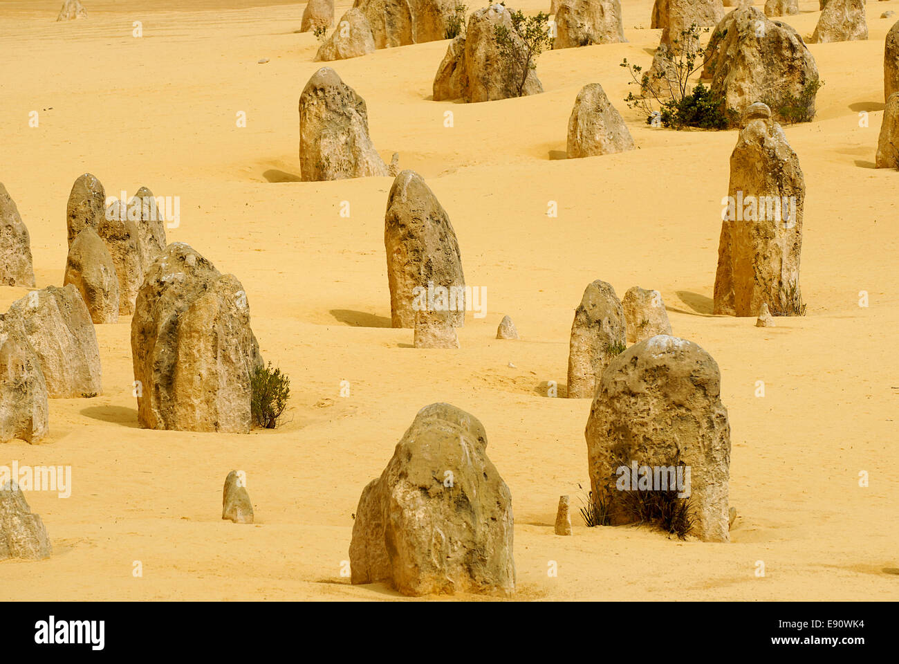 I Pinnacoli in Australia Occidentale Foto Stock