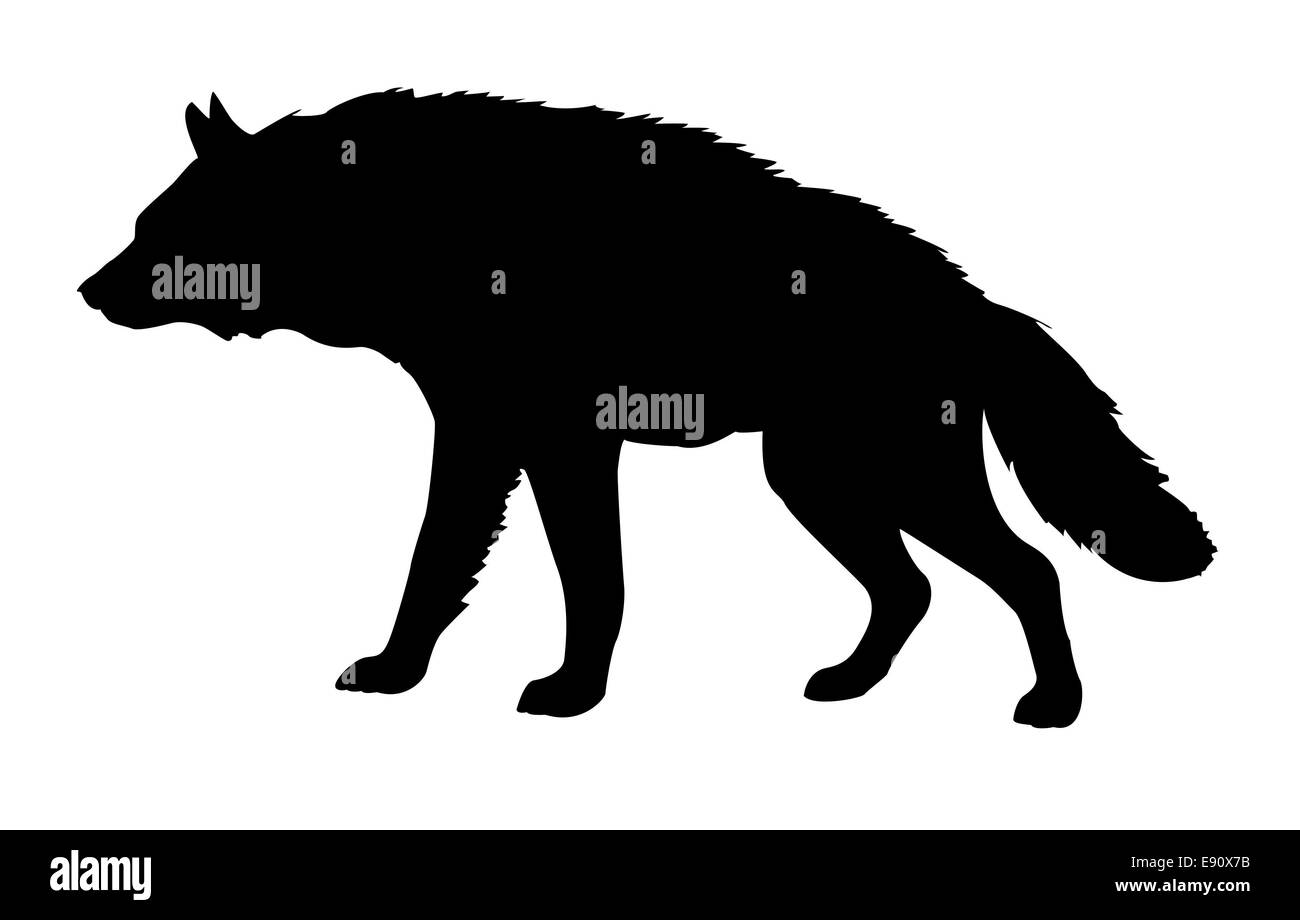 Silhouette iena isolati su sfondo bianco Foto Stock