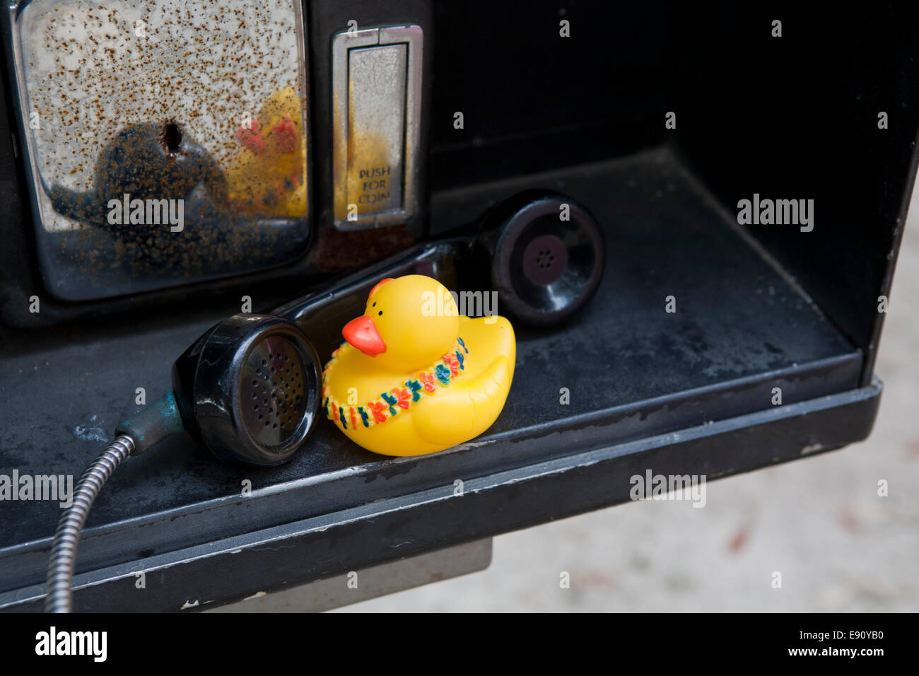 Rubber Duck a parlare su un telefono a pagamento. Foto Stock