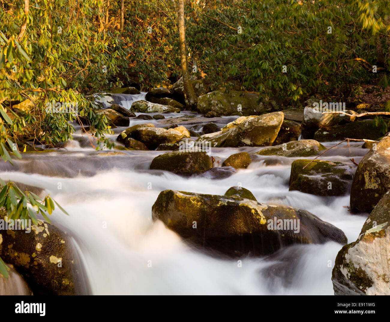 Flusso infuria in primavera a Smokies Foto Stock