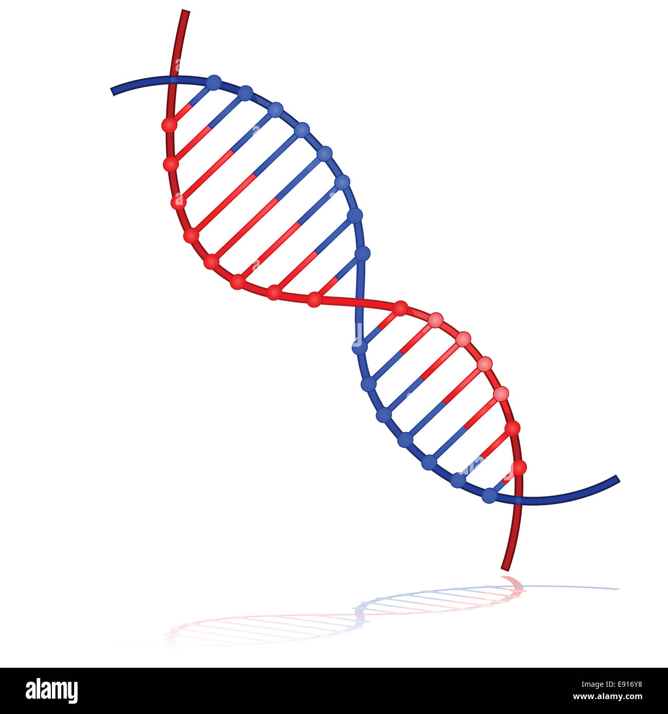 Filo del DNA Foto Stock