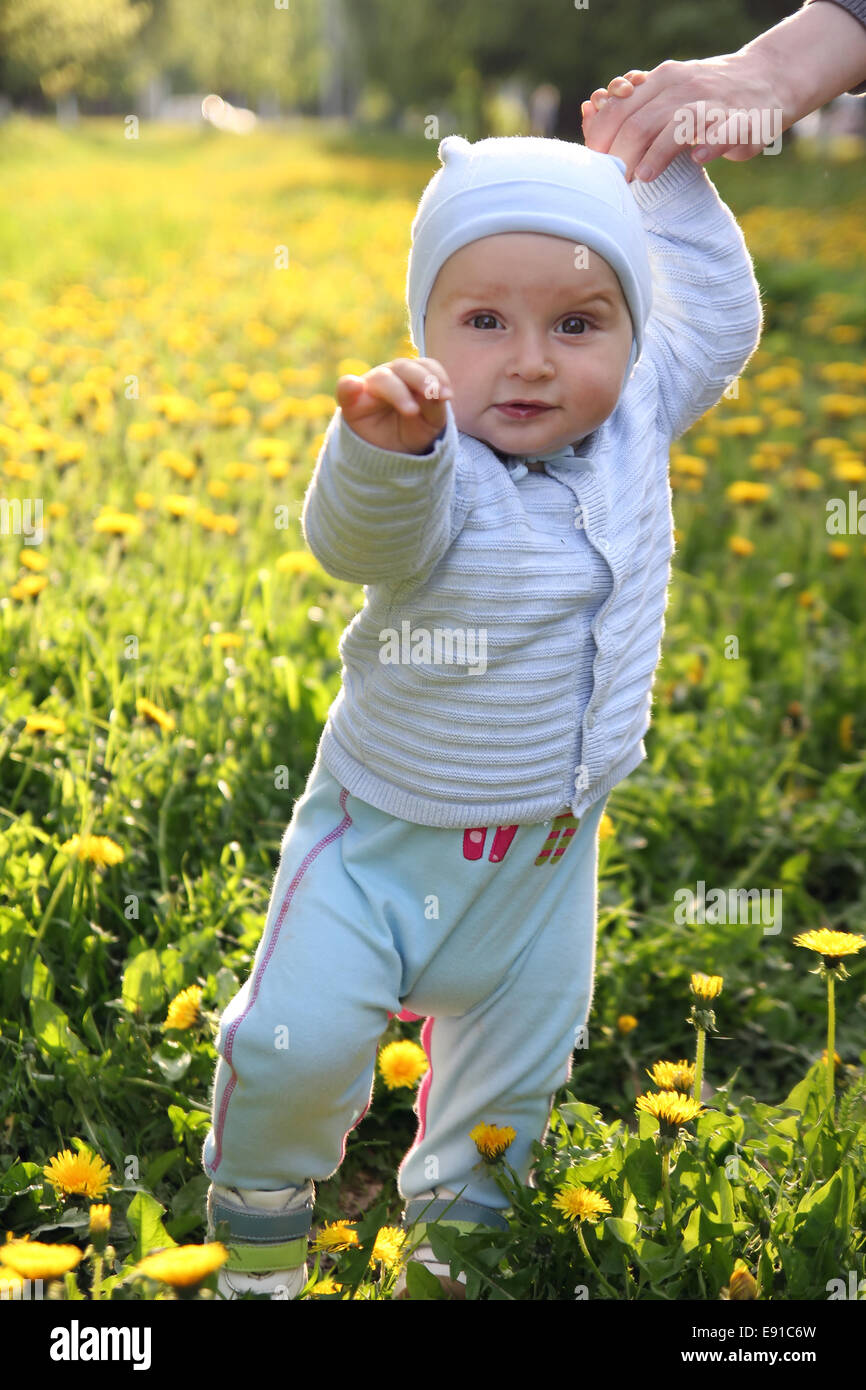 Little Boy toddler stare sull'erba Foto Stock