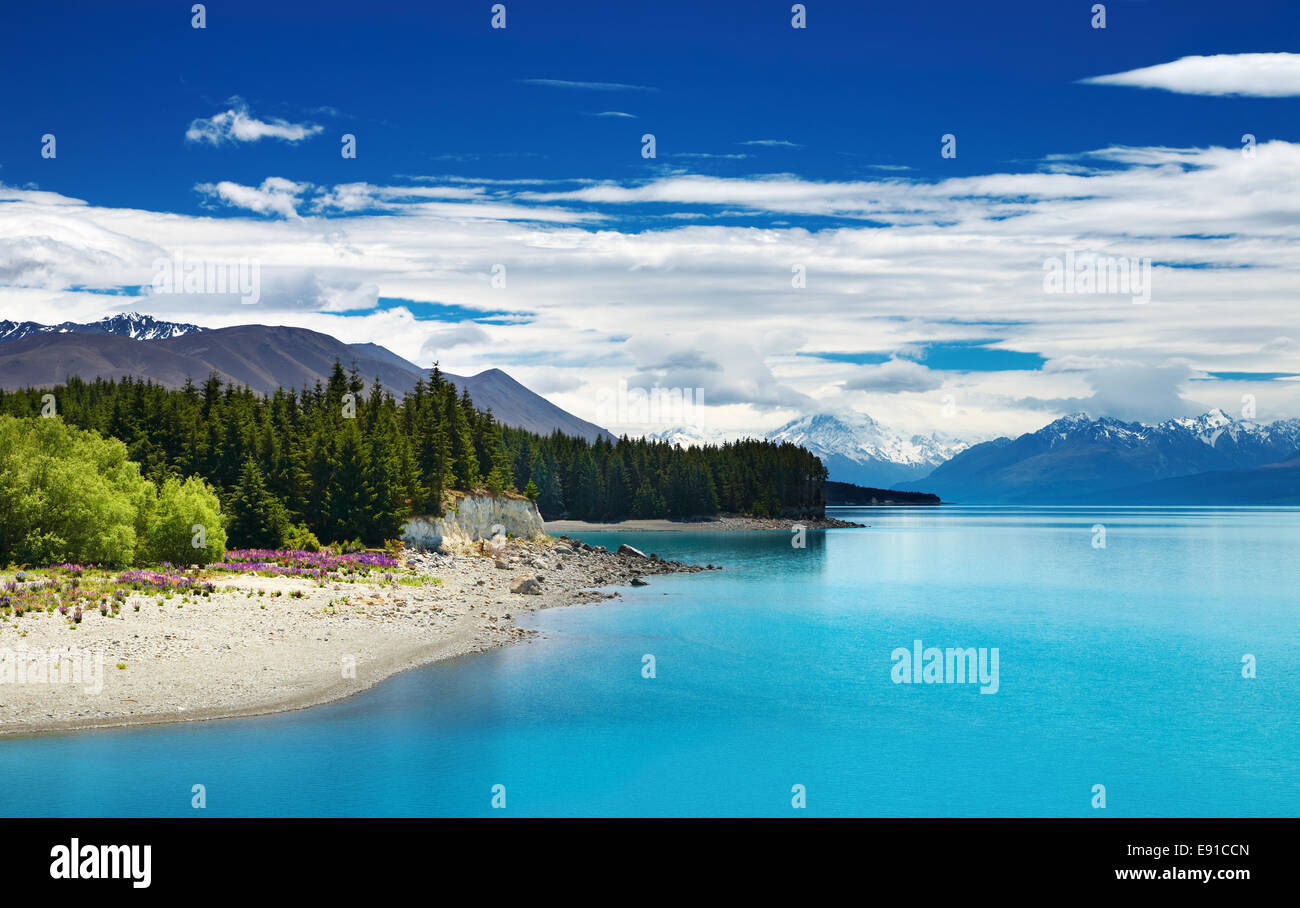 Lago Pukaki fino al Sud delle Alpi, Nuova Zelanda Foto Stock