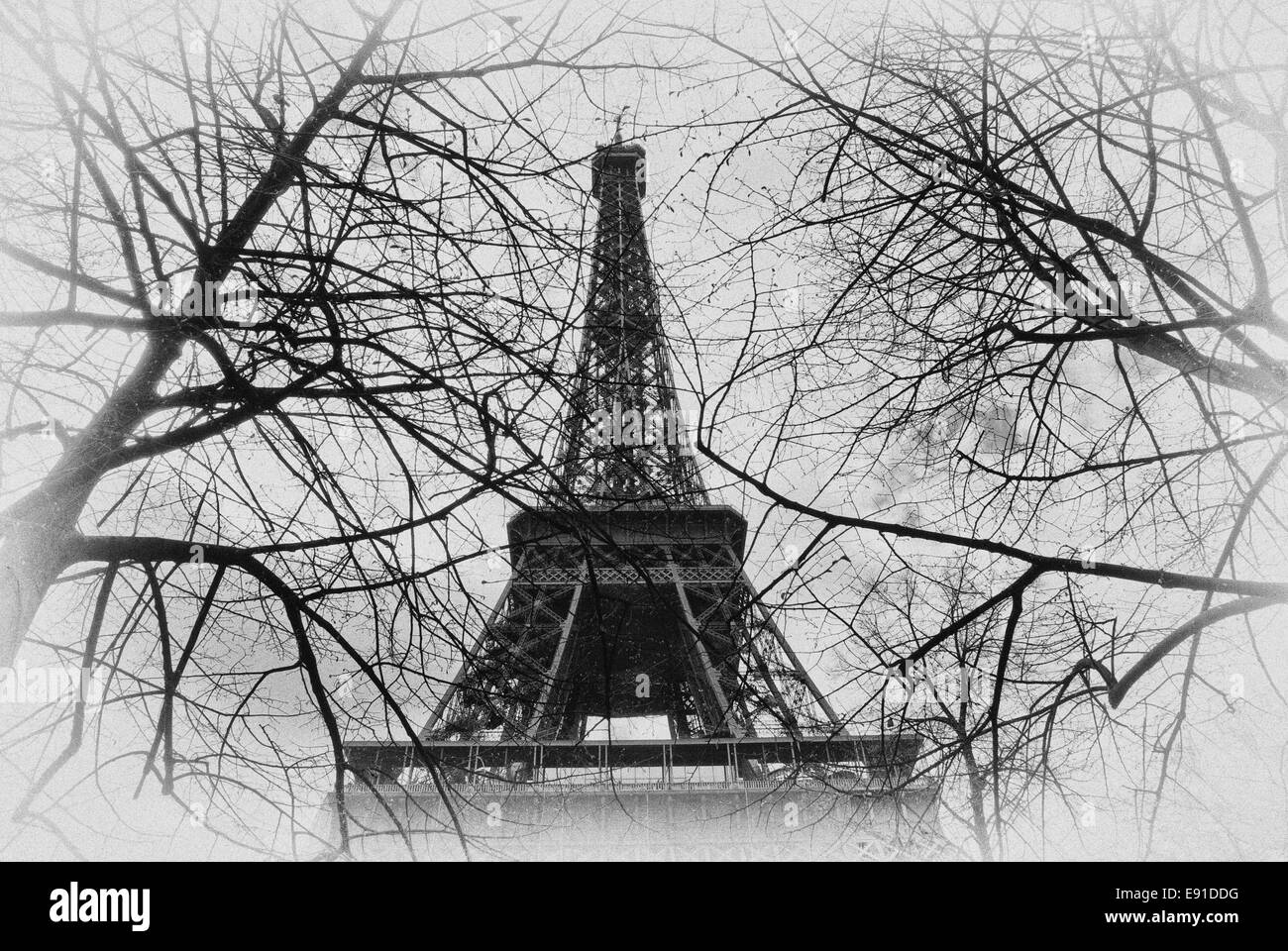 Torre Eiffel Foto Stock