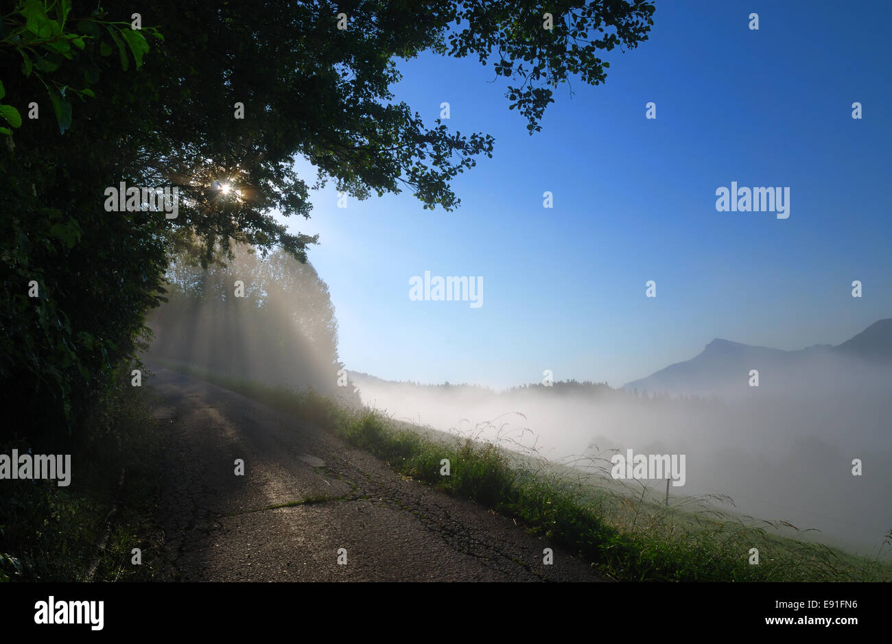 Nebbia di mattina Foto Stock