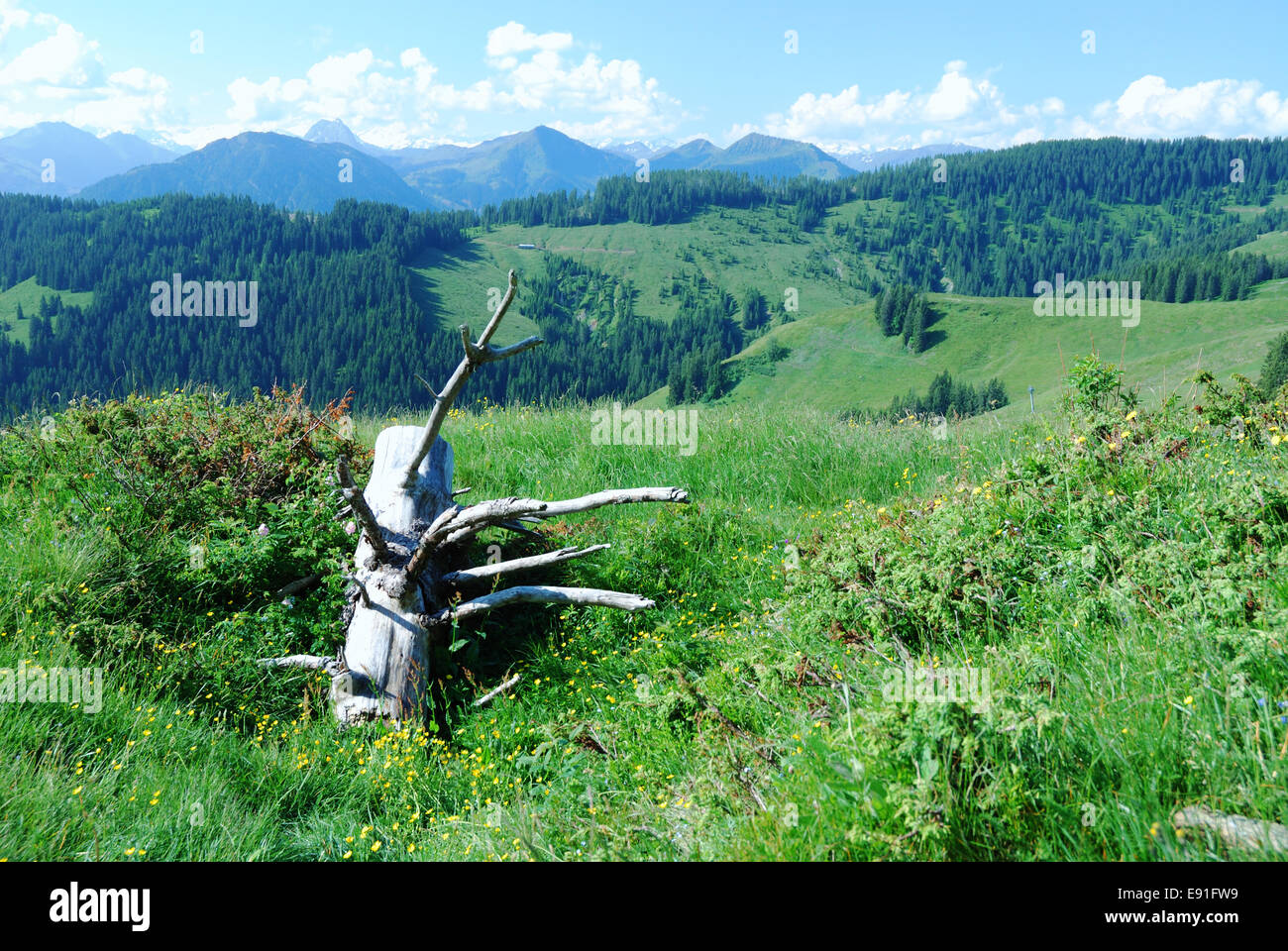 Alpi in Austria Foto Stock
