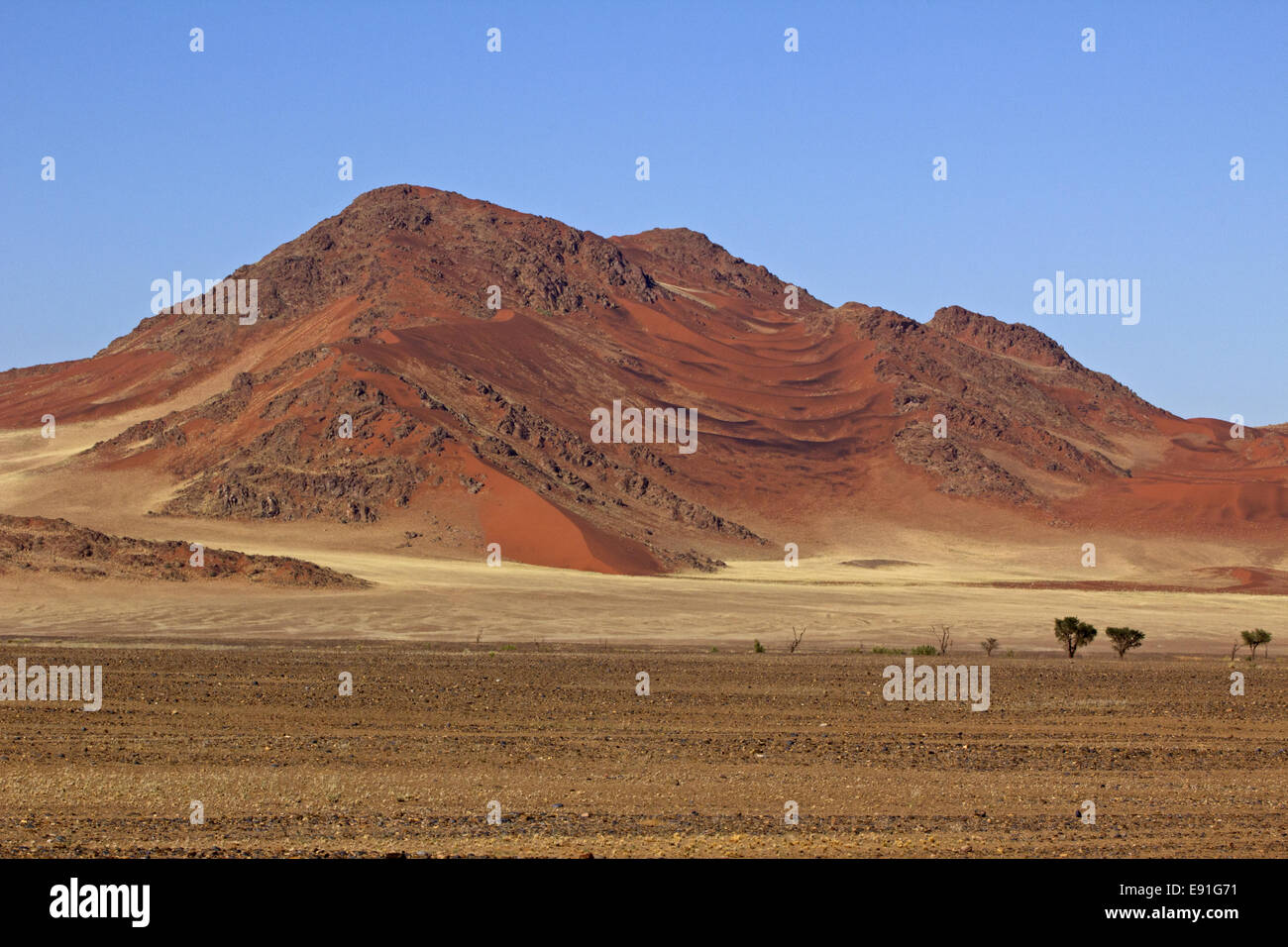 Namib Foto Stock
