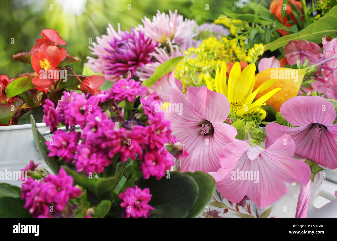gardenflowers Foto Stock