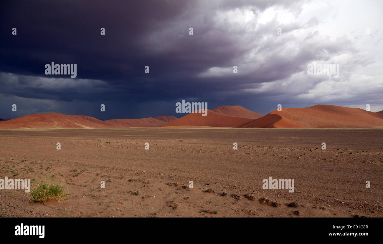 Dune di sabbia in Namib-Naukluft-Nationalpark Foto Stock