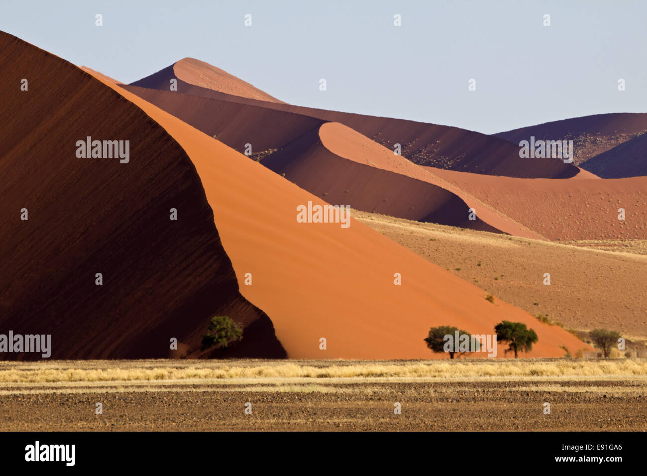 Dune di sabbia del Namib Naukluft Park in Namibia Foto Stock