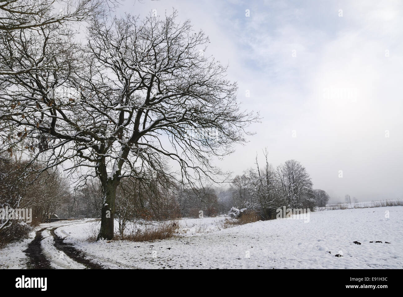 Inverno in Baviera Foto Stock