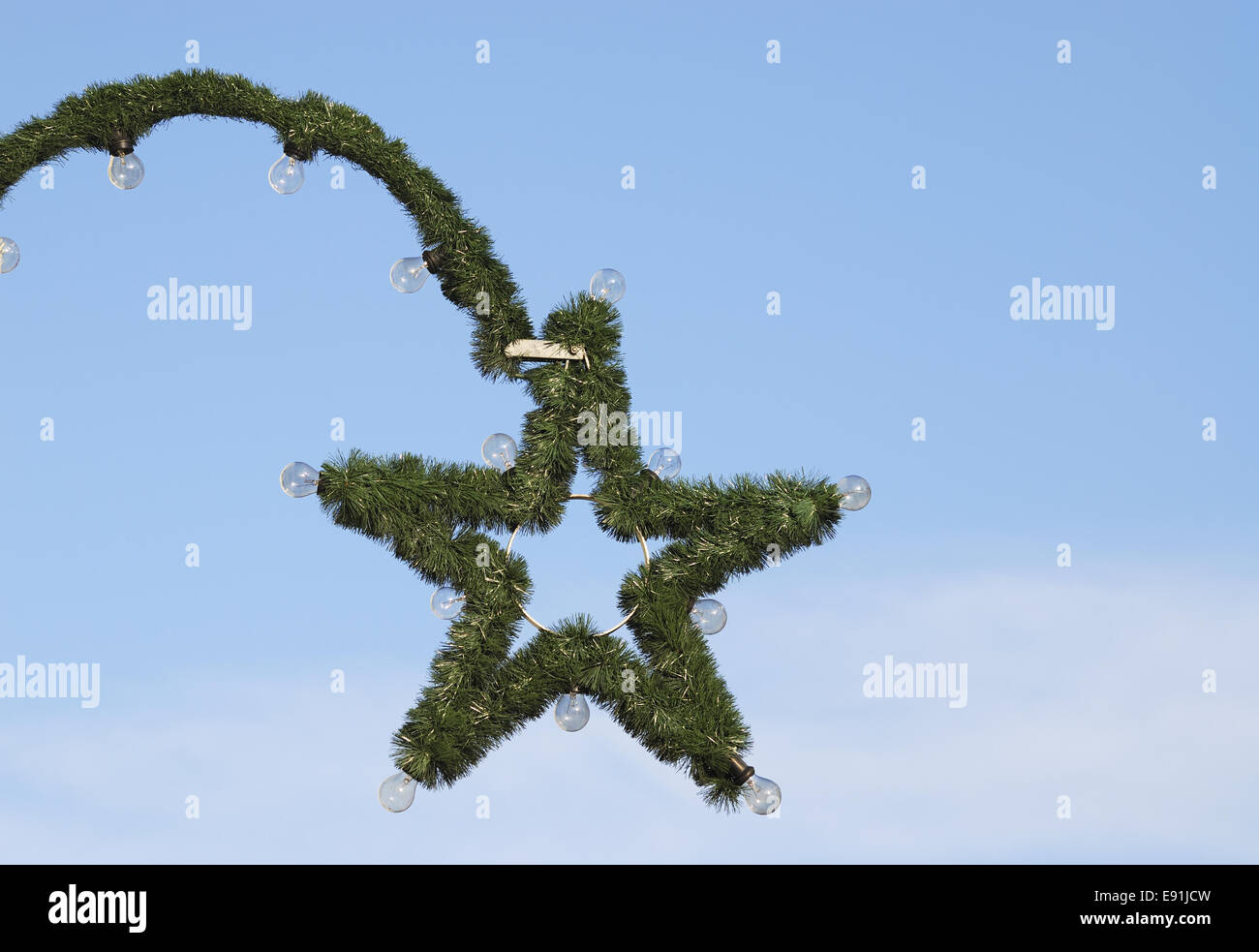 Stella di Natale Foto Stock